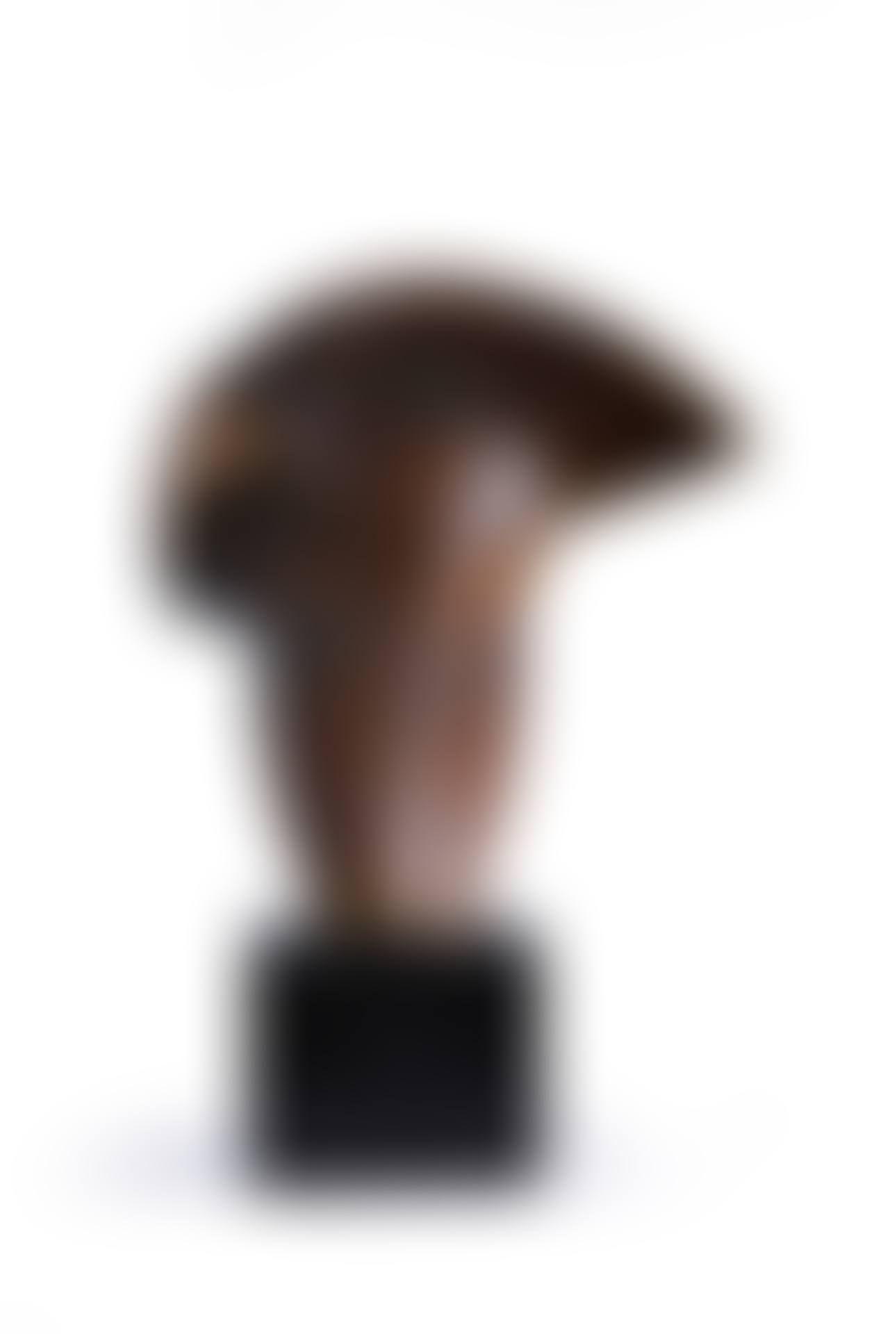 Untitled (preview)