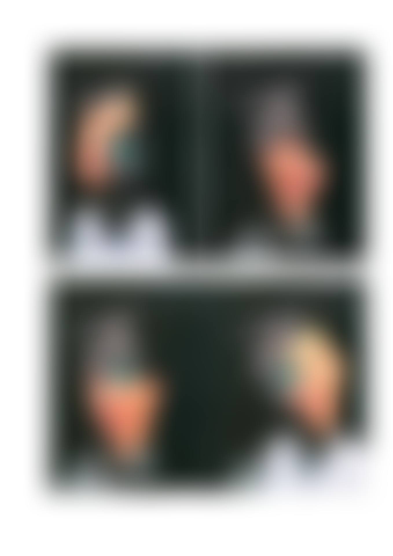 Four (4) Portraits of Bruno Henry (preview)
