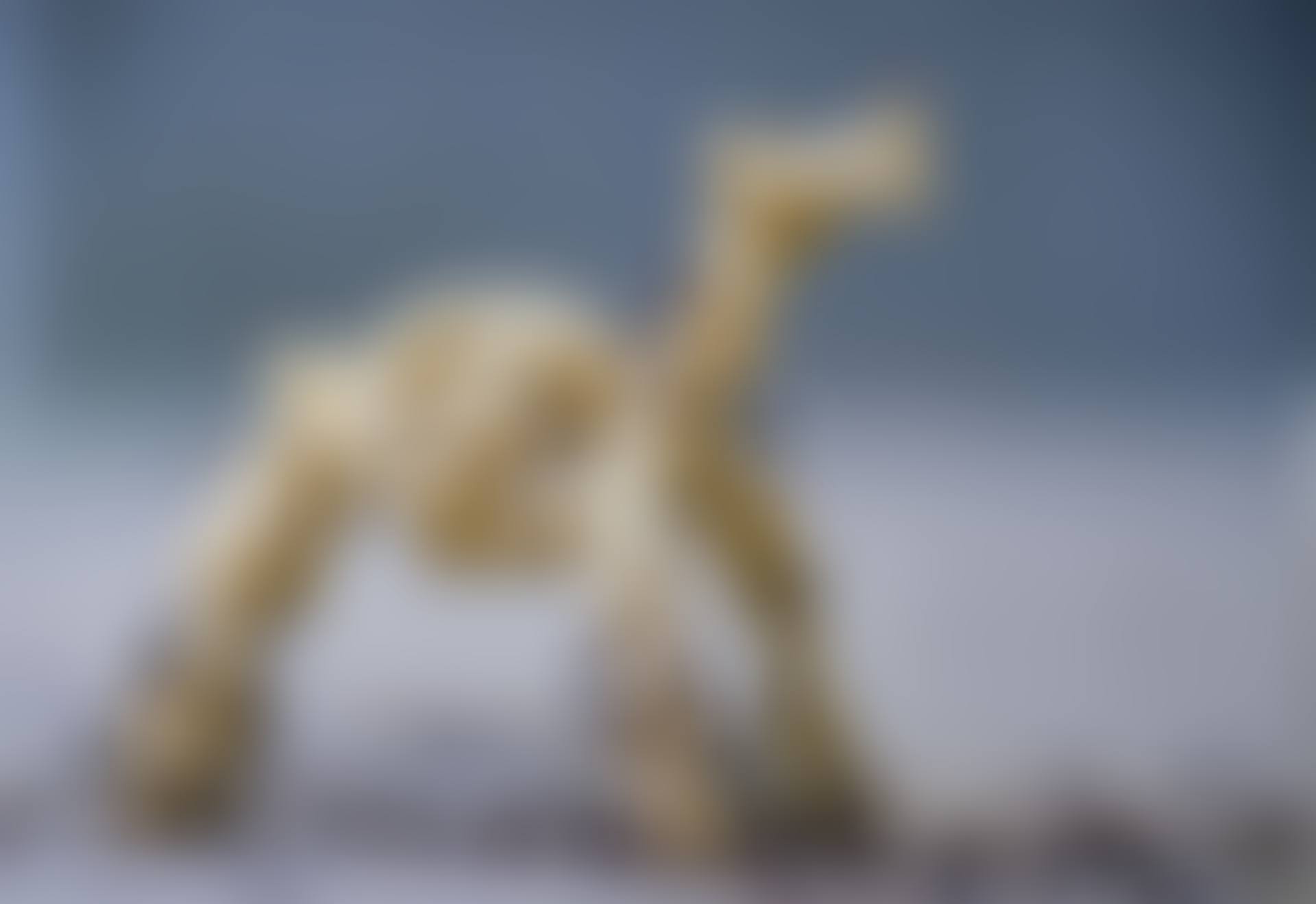 Endangered Animals (preview)