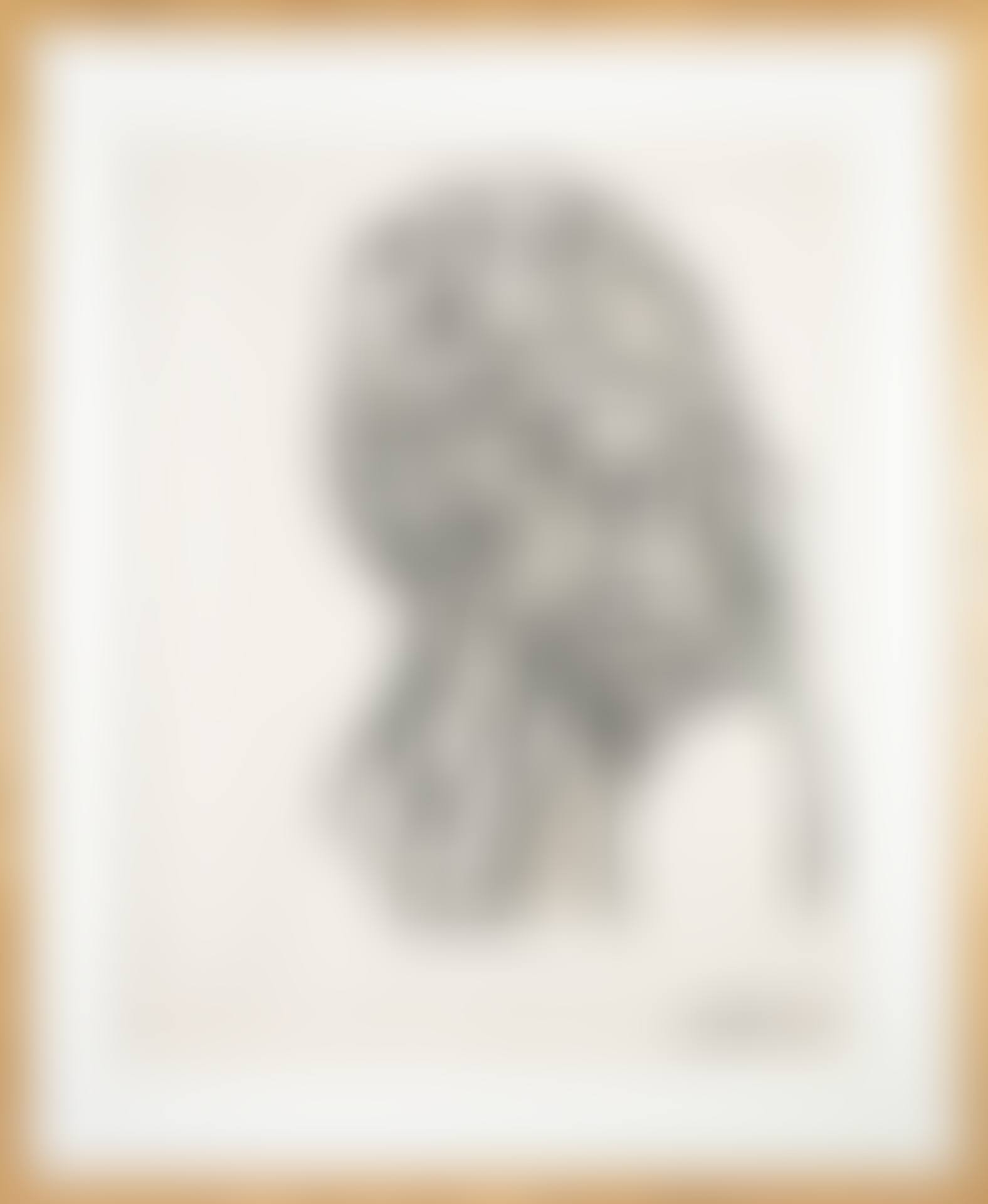 Academic Tattoo / Portrait of Louis XIV (preview)