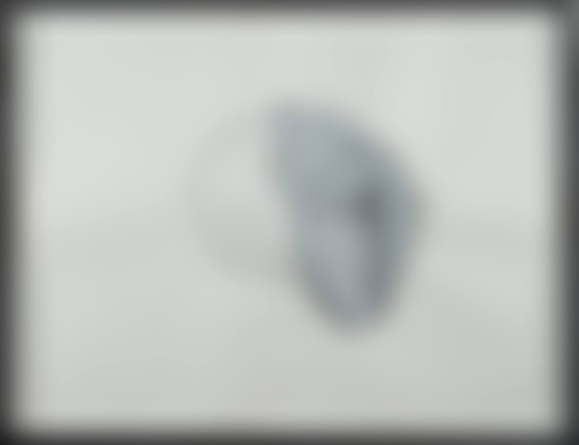 The Scaffolding of the Nest, March 15, 2013 (preview)