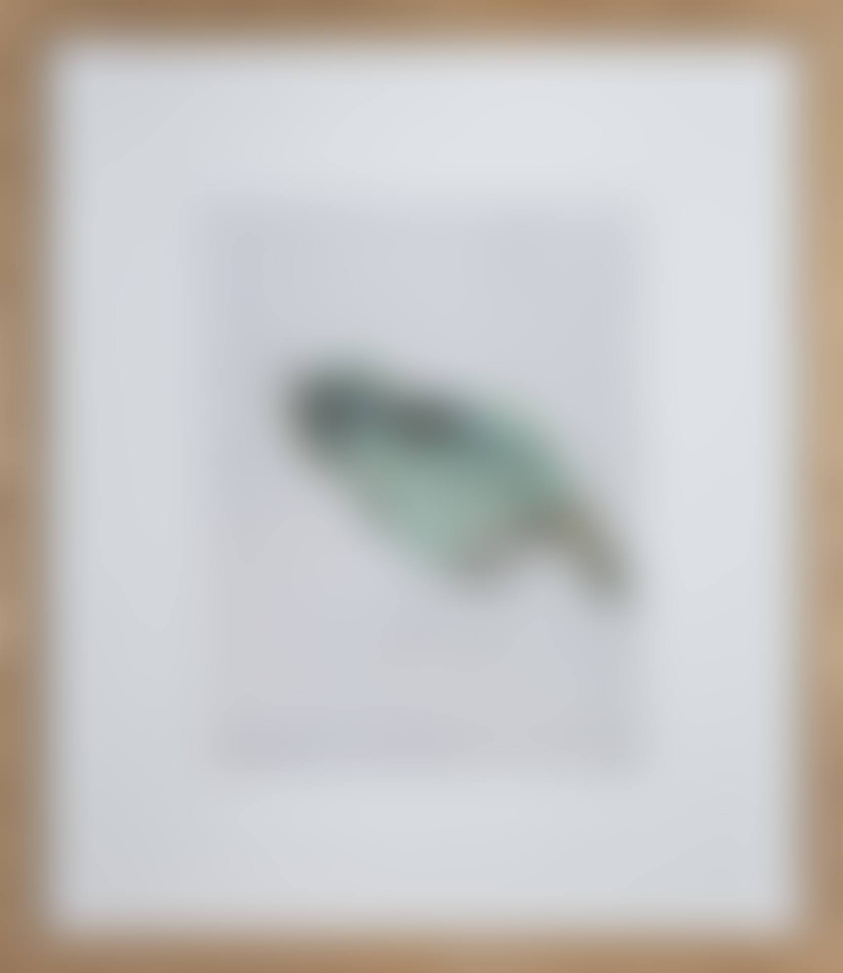 Bird, June 18, 2020 (preview)