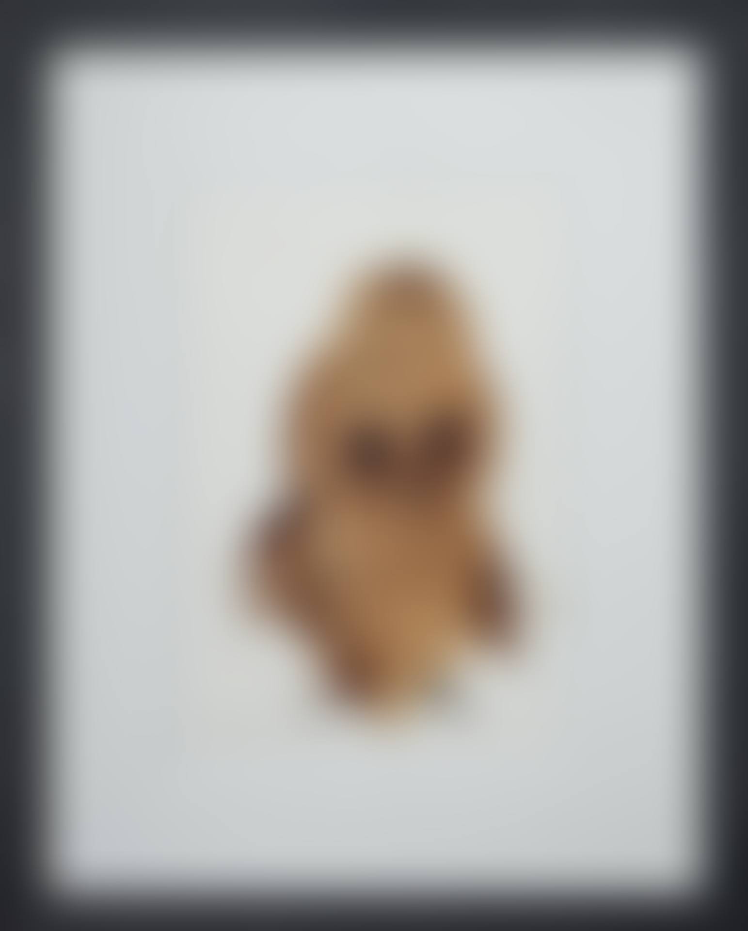 Bird (preview)