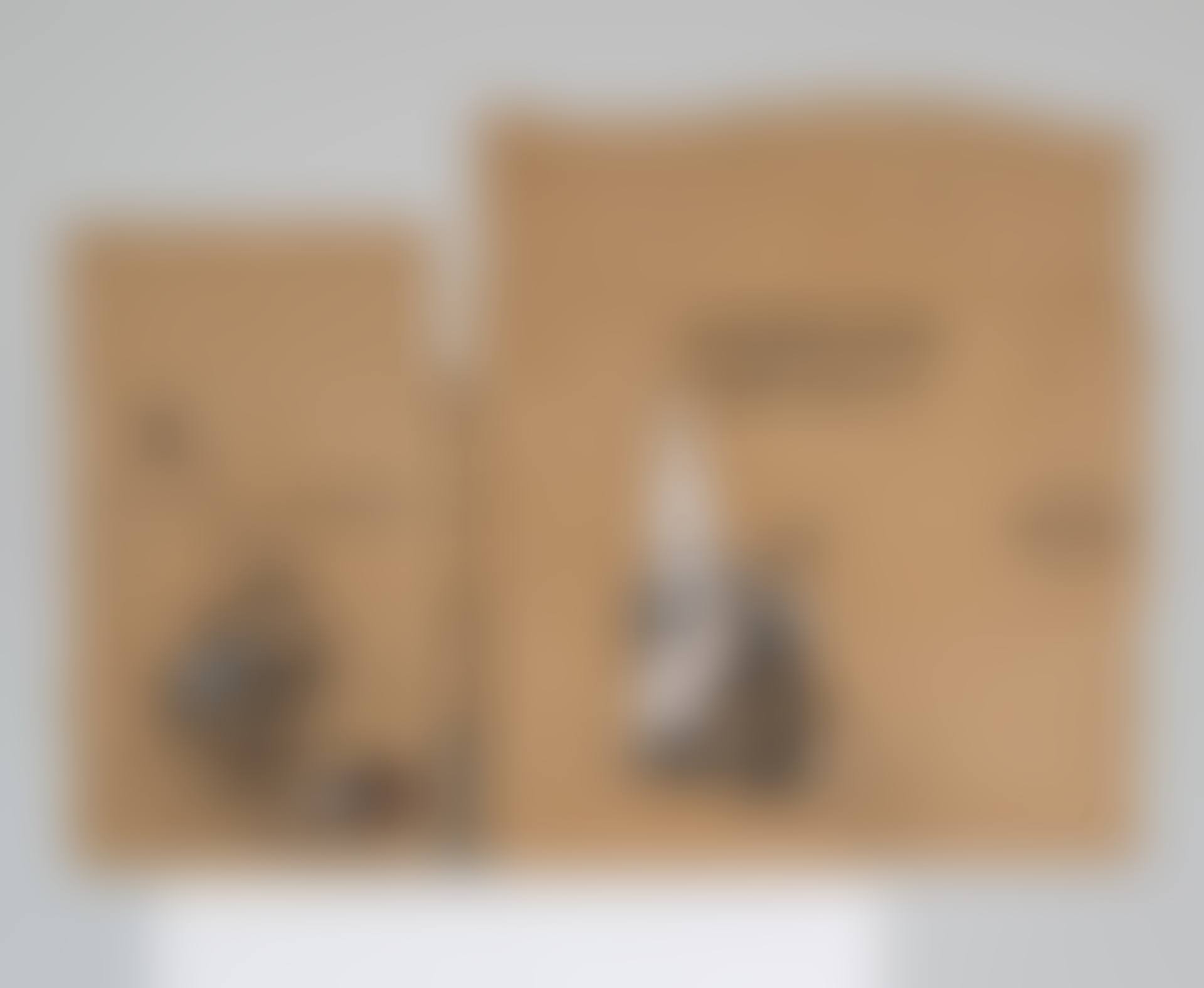 Bleach and 12 bottles (preview)