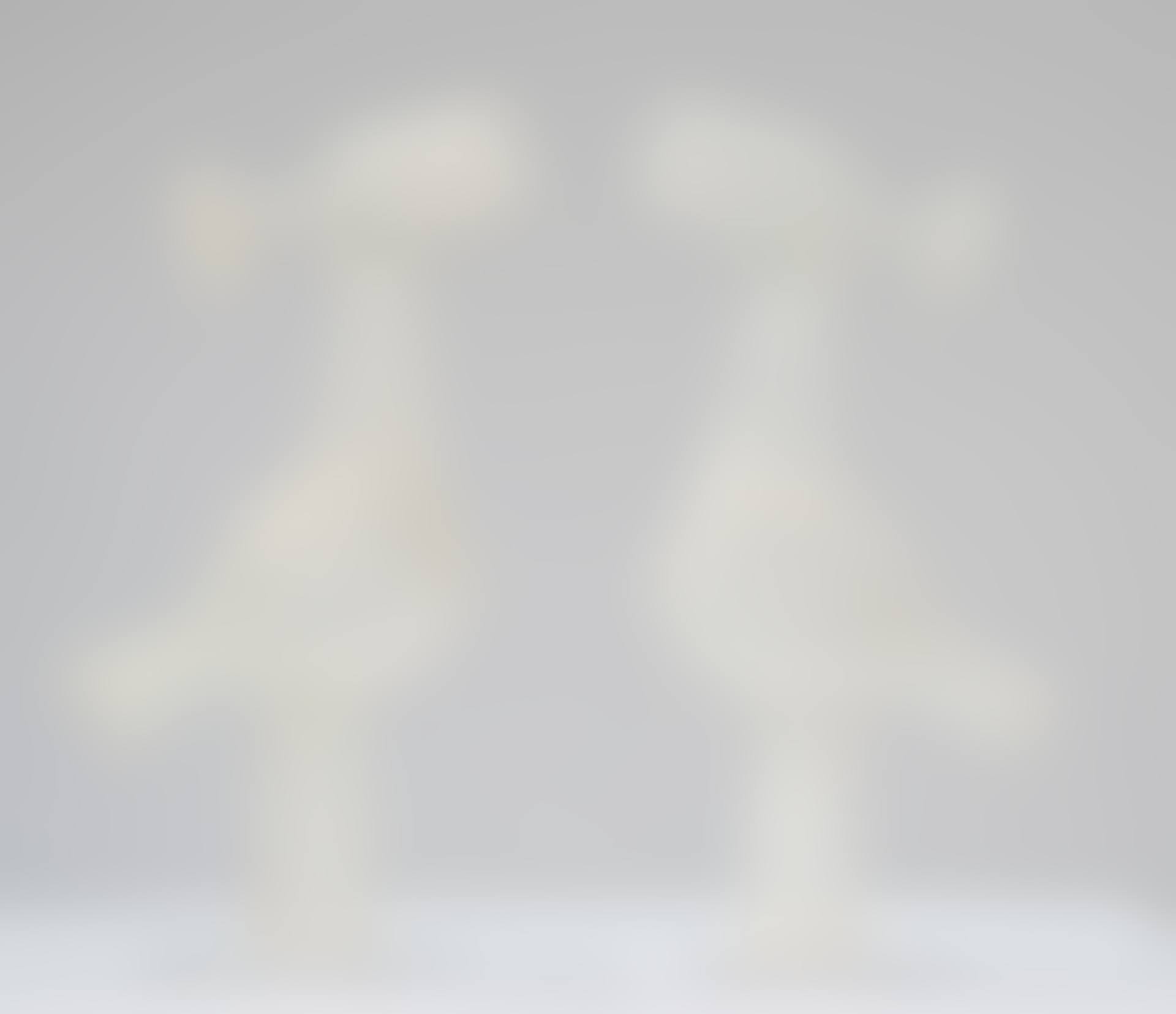 Les gallinettes (preview)