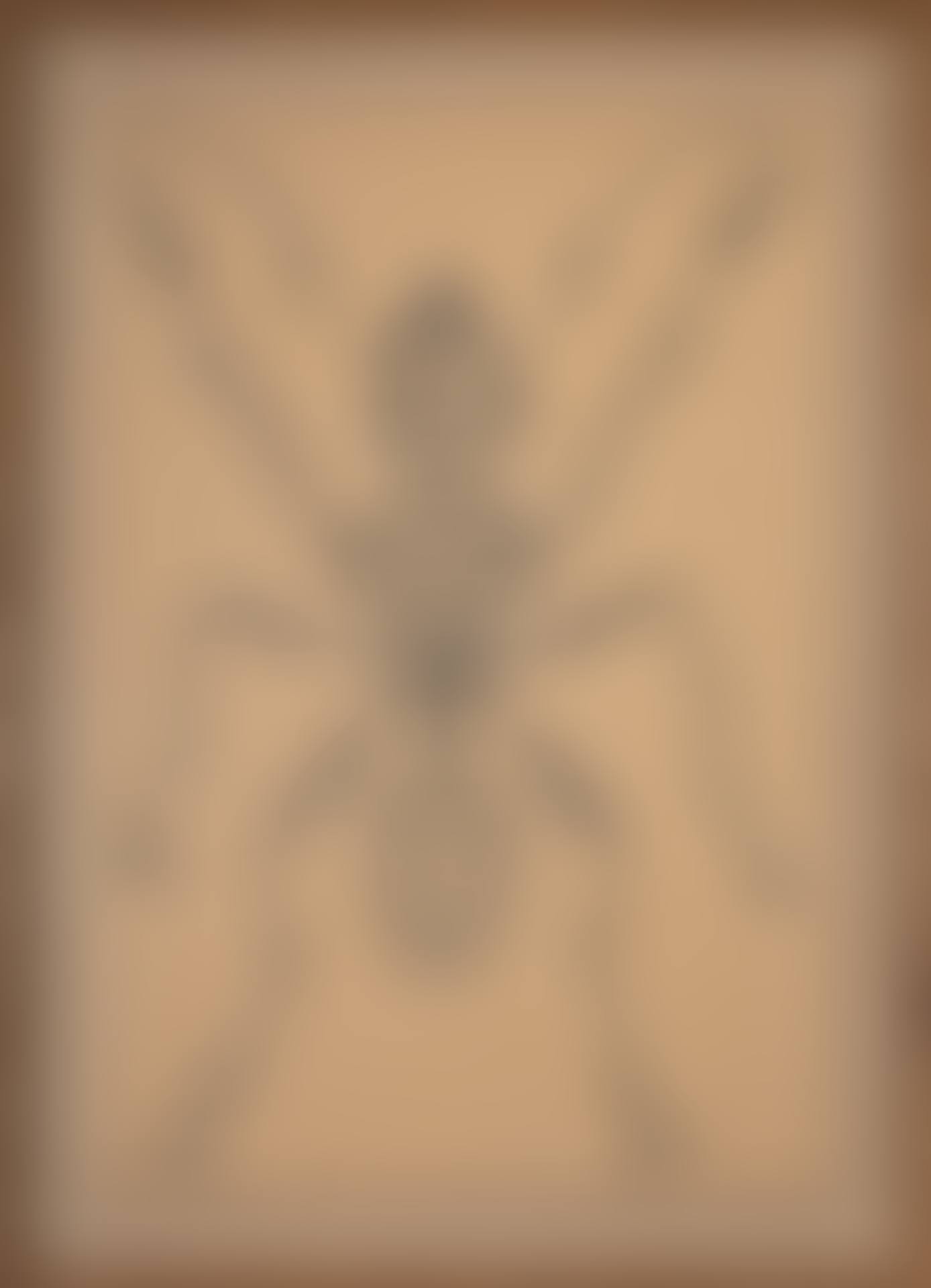 Ant, “Insects” Series (preview)