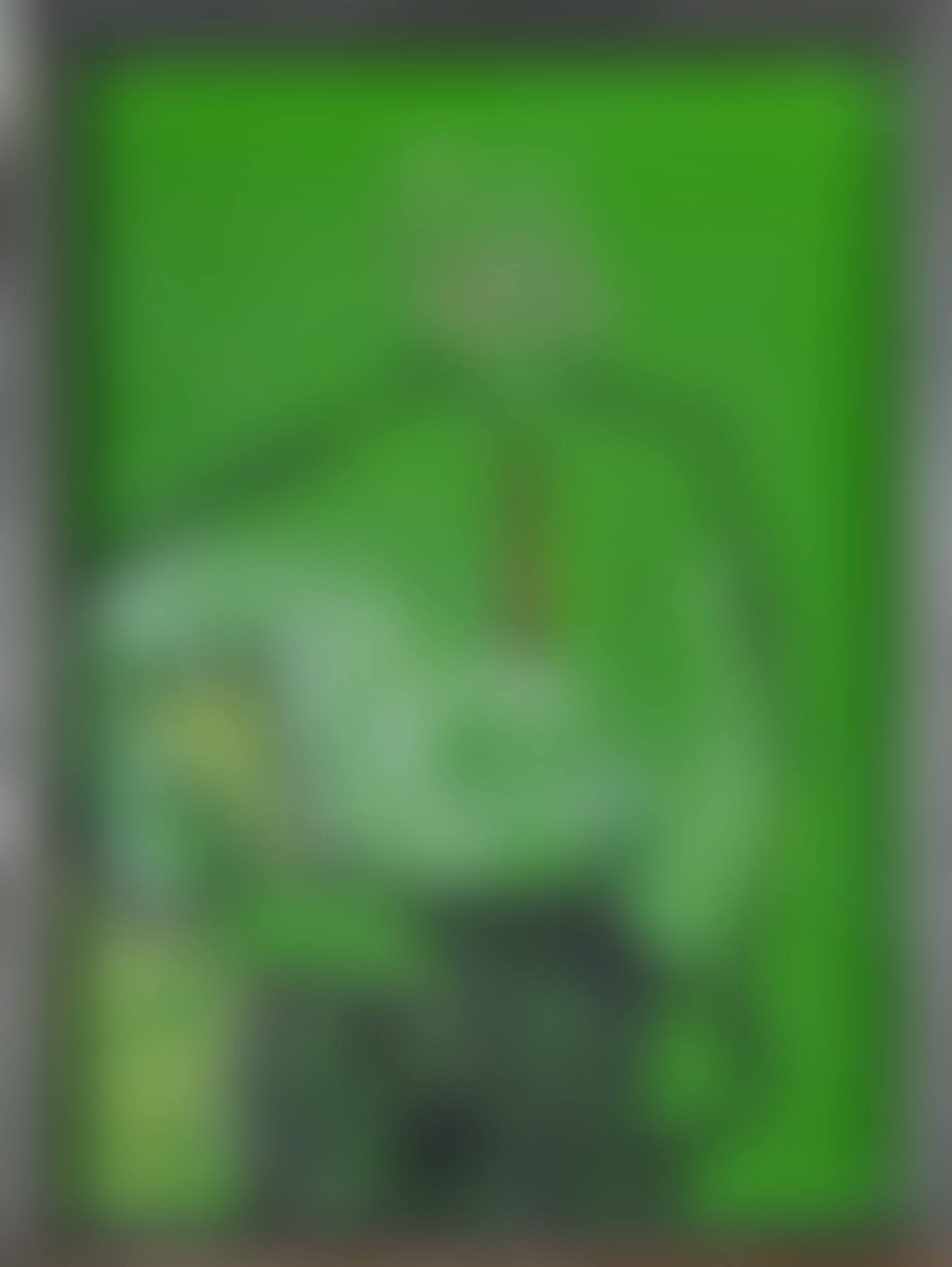 Untitled (preview)
