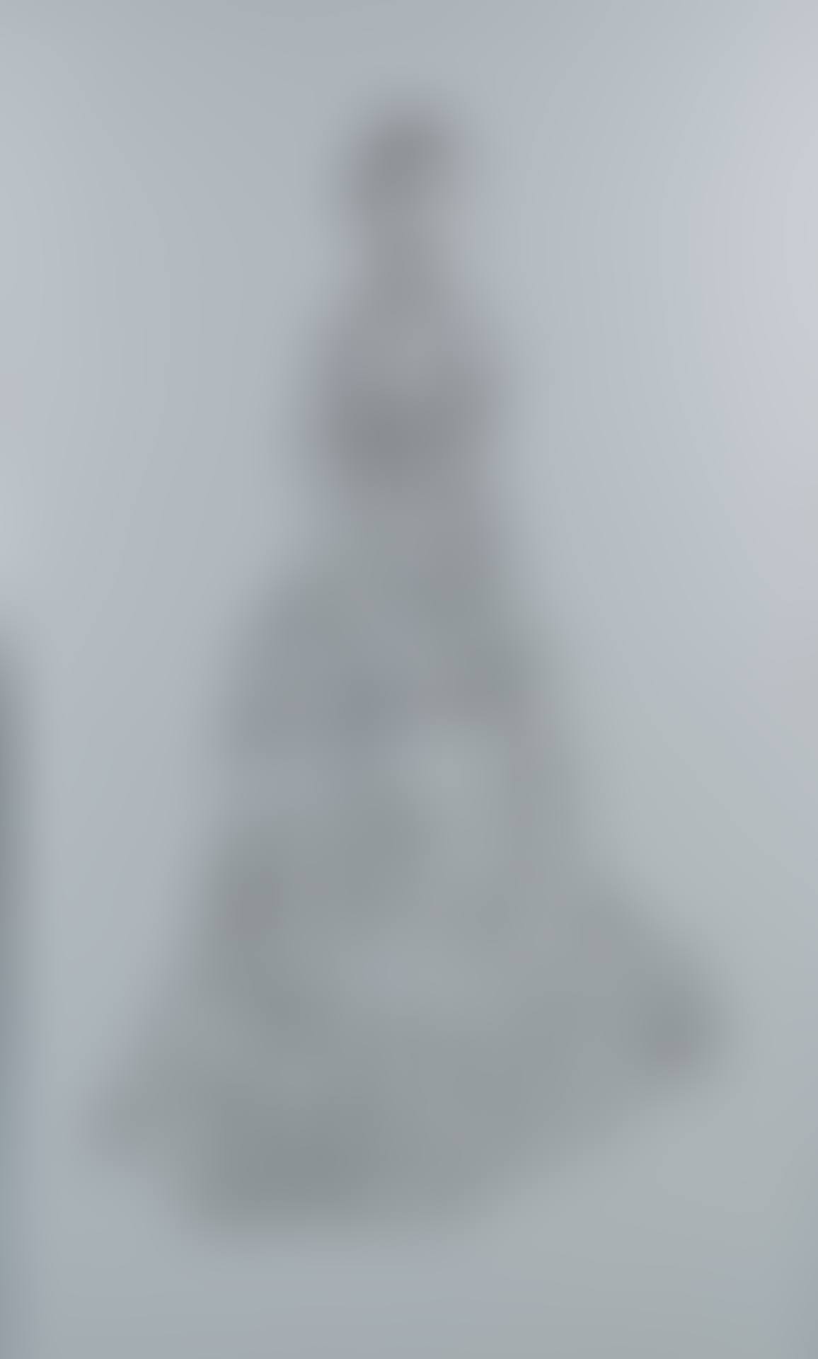 The Newlyweds No. 1 (preview)