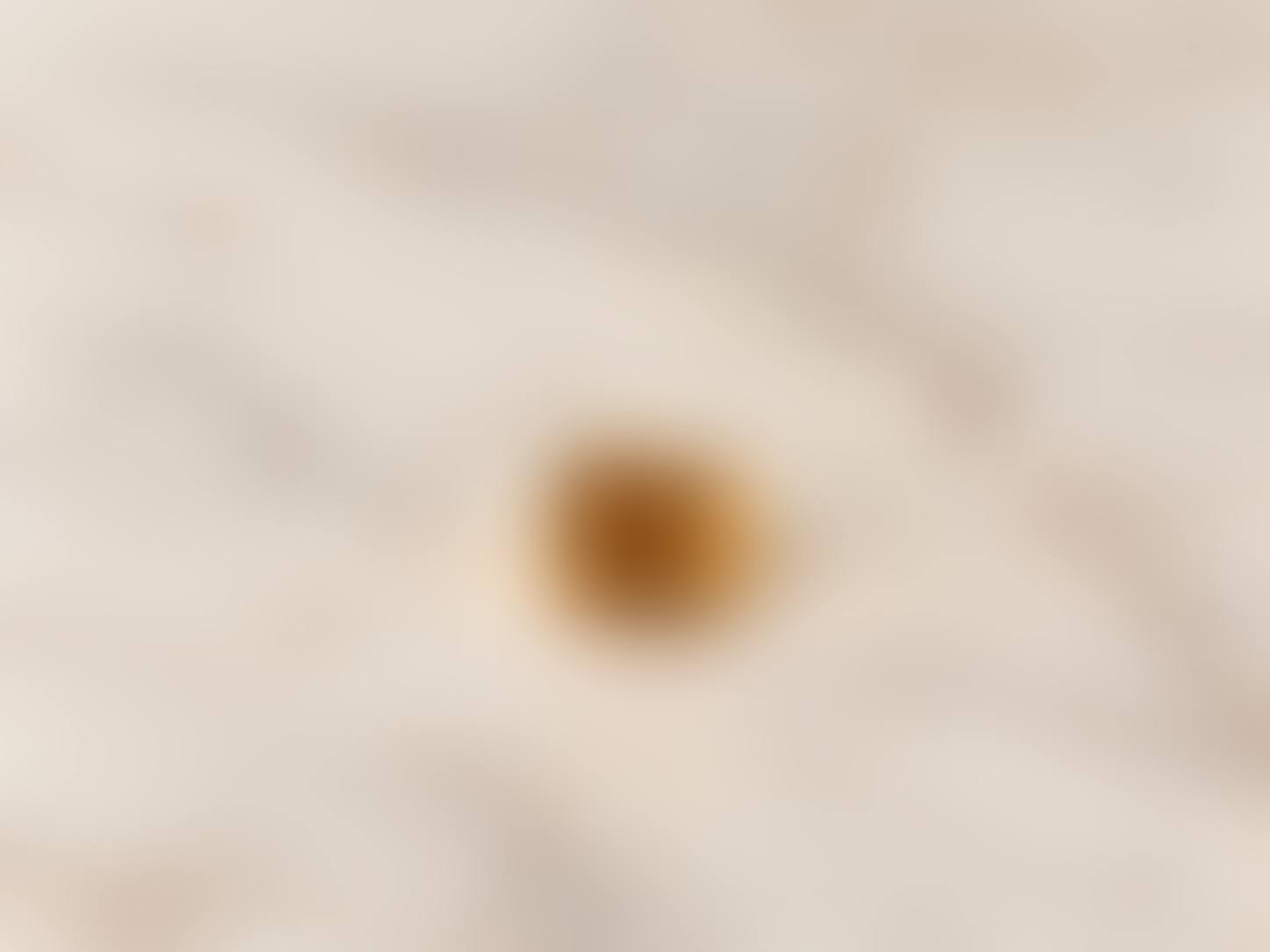 Signet Ring (preview)