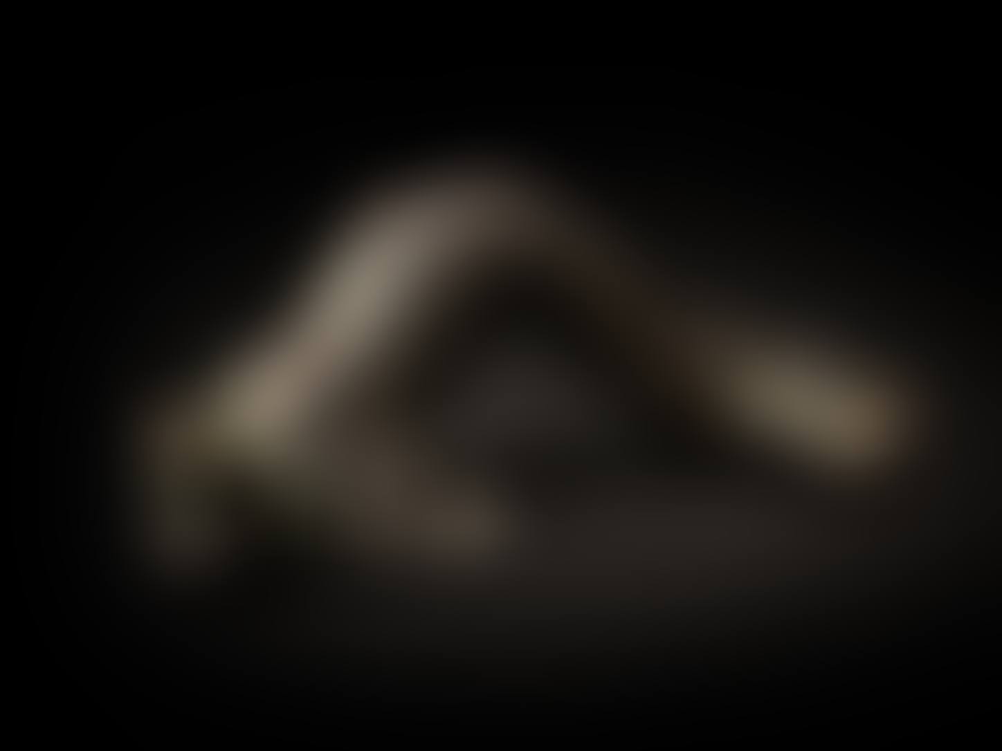 Bronze dolphin statuette (preview)