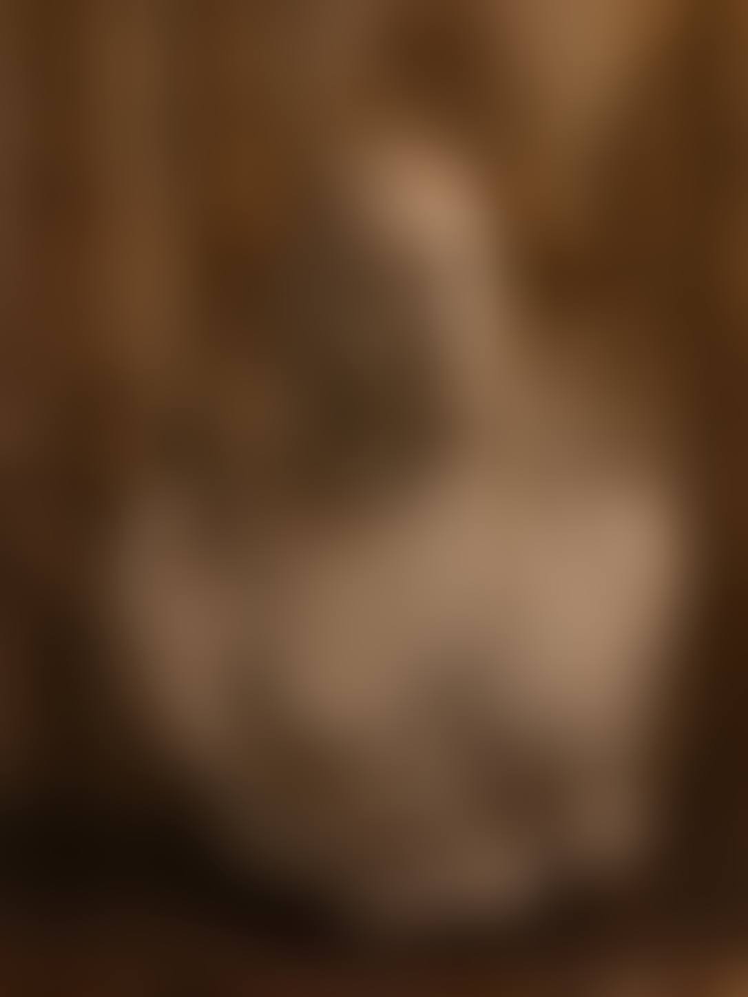 Bust of a Woman (preview)
