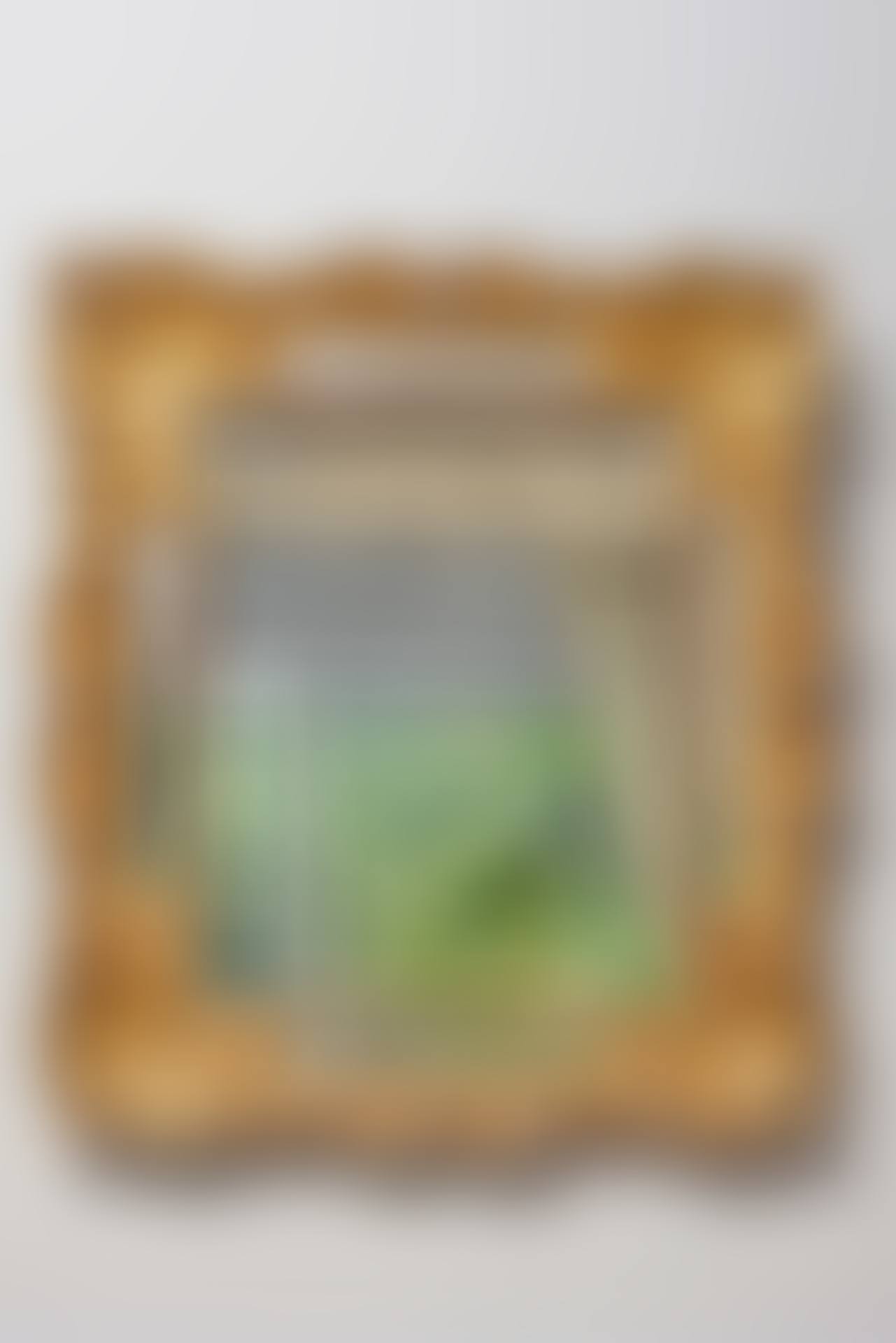 Mirror (preview)