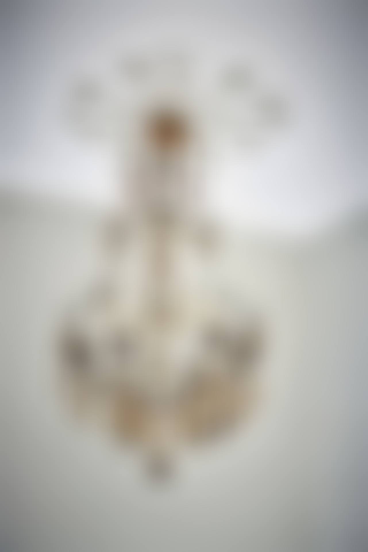 Eight-arm cage chandelier with pendants and small flowers (preview)