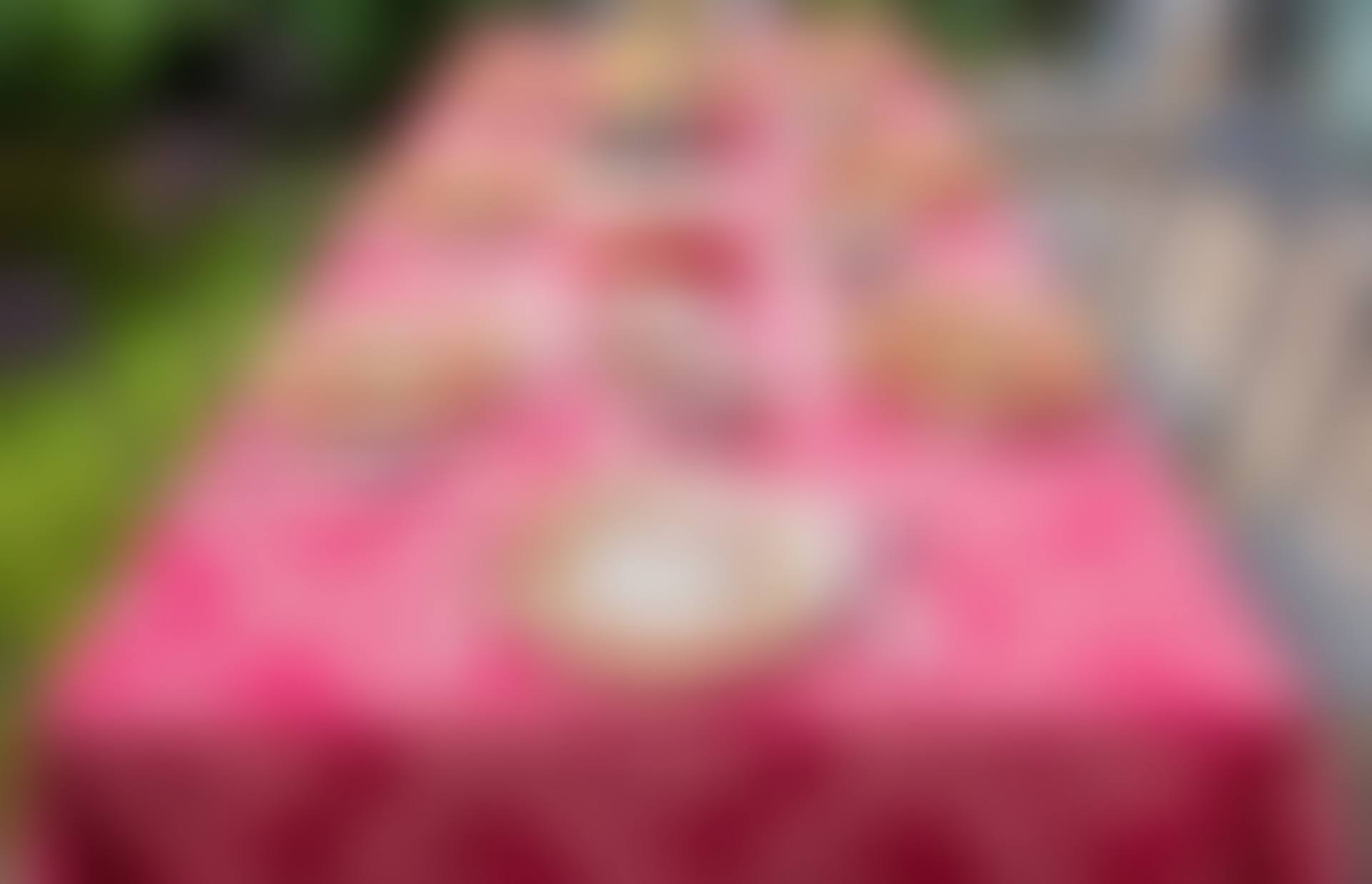 tablecloth and napkin (preview)