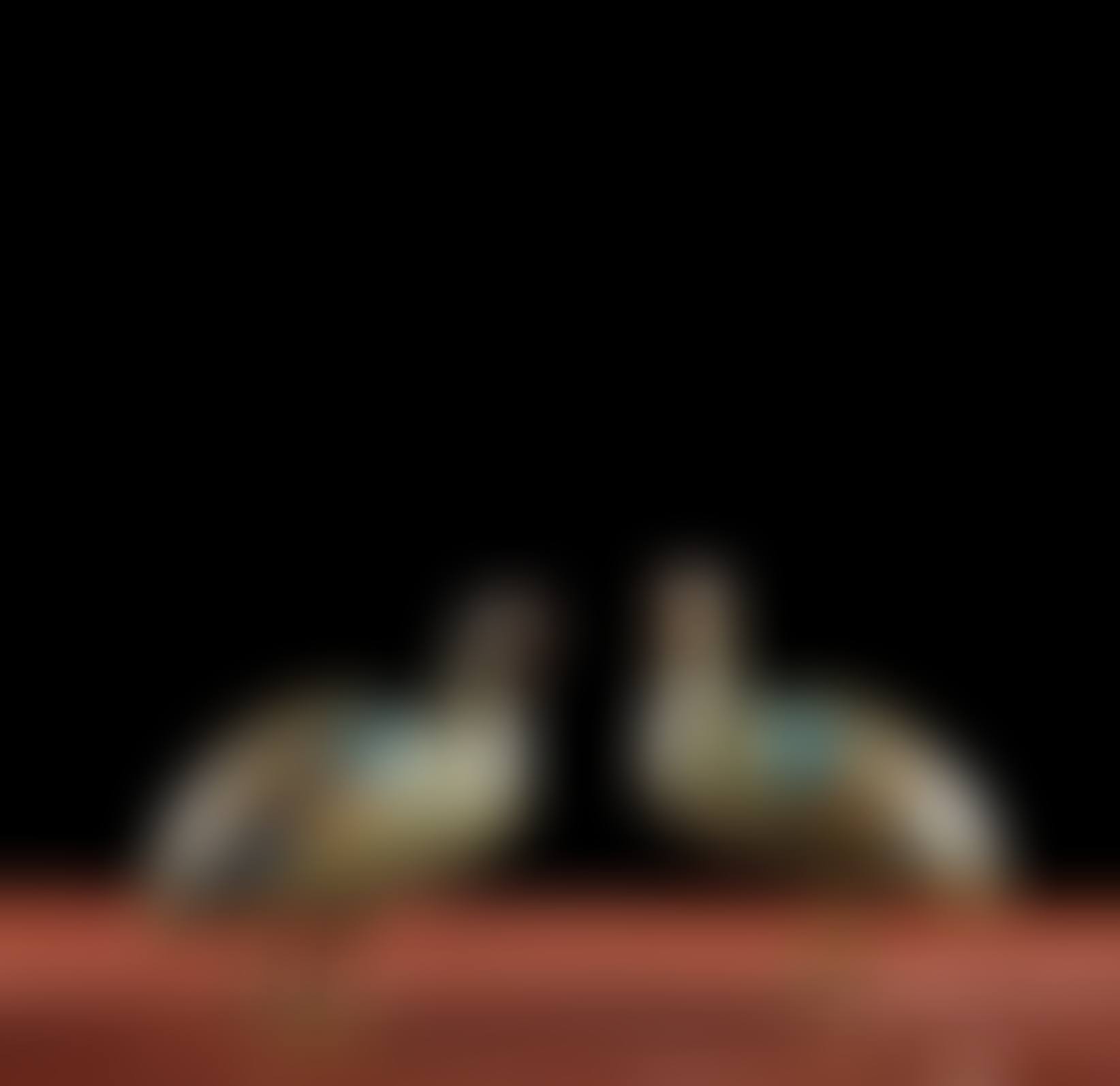 A pair of quails (preview)
