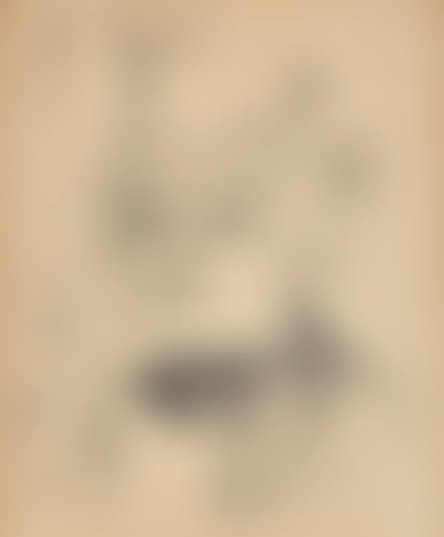 Madame Réjane (preview)