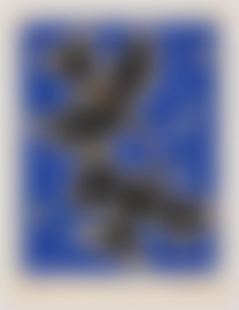 Deux Oiseaux sur Fond Bleu (preview)