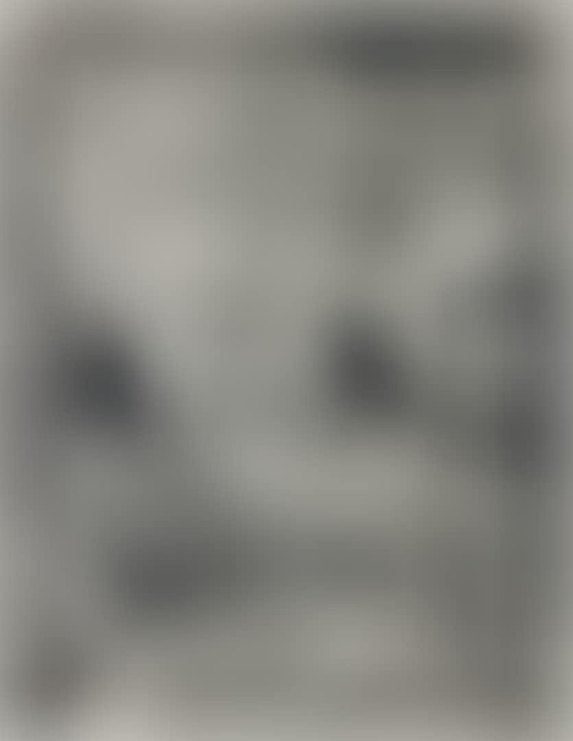 Das Haus sieht einen Menschen brennen (preview)