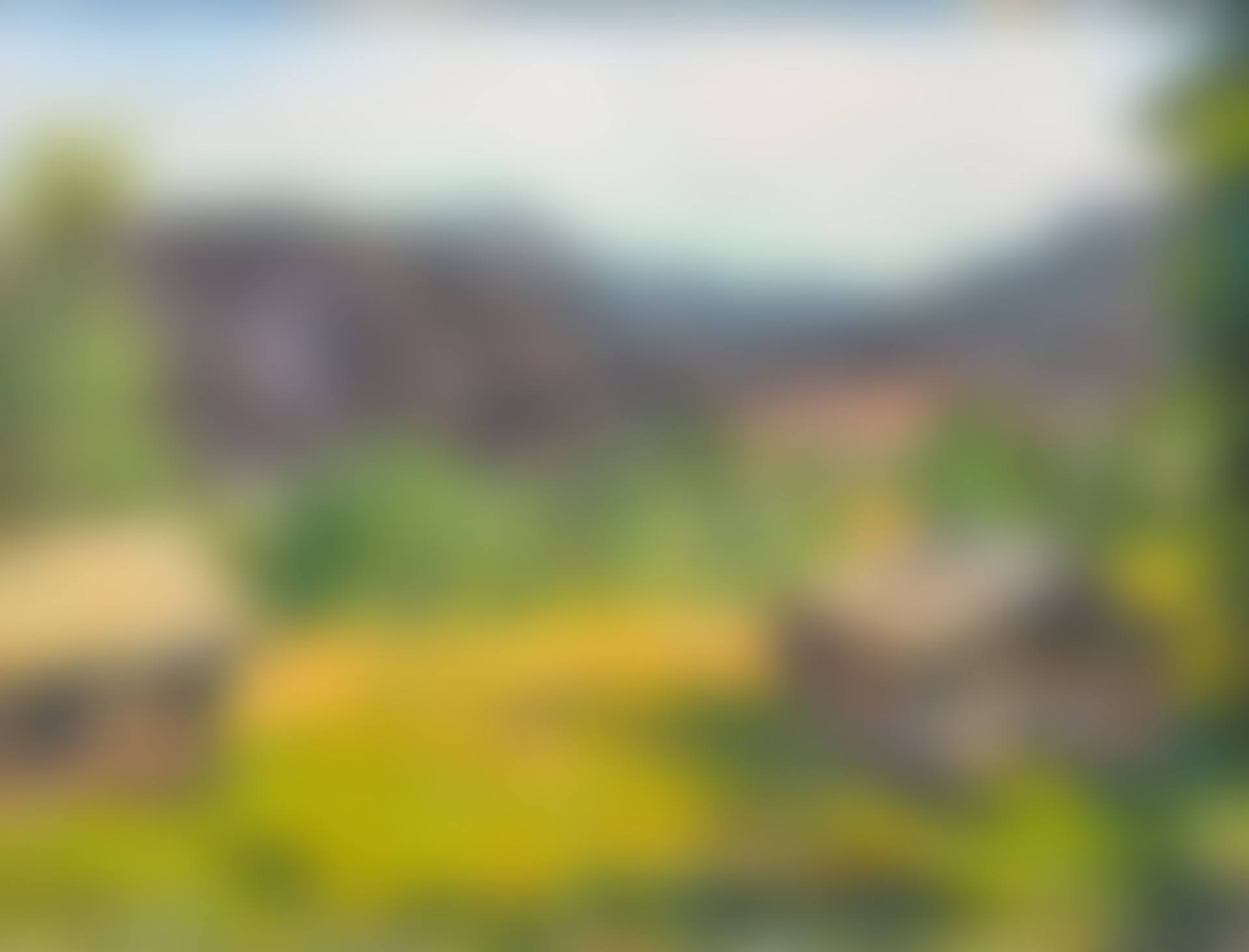 Landscape (preview)