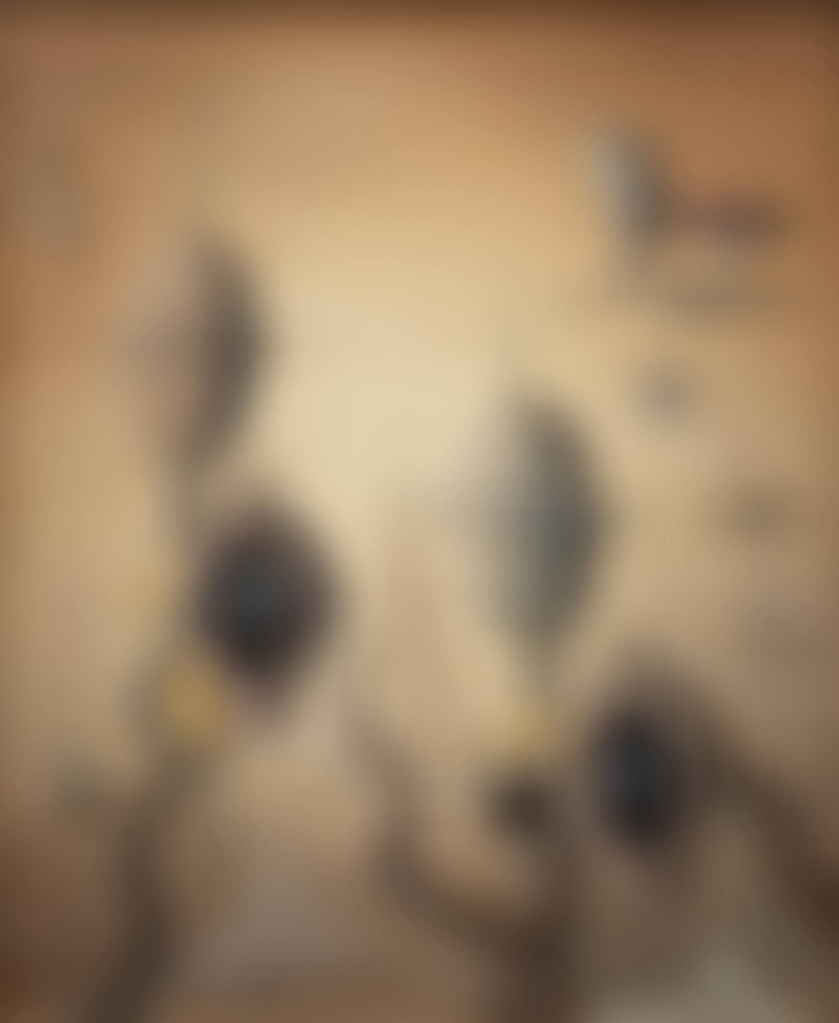 Ögats fängelse (preview)