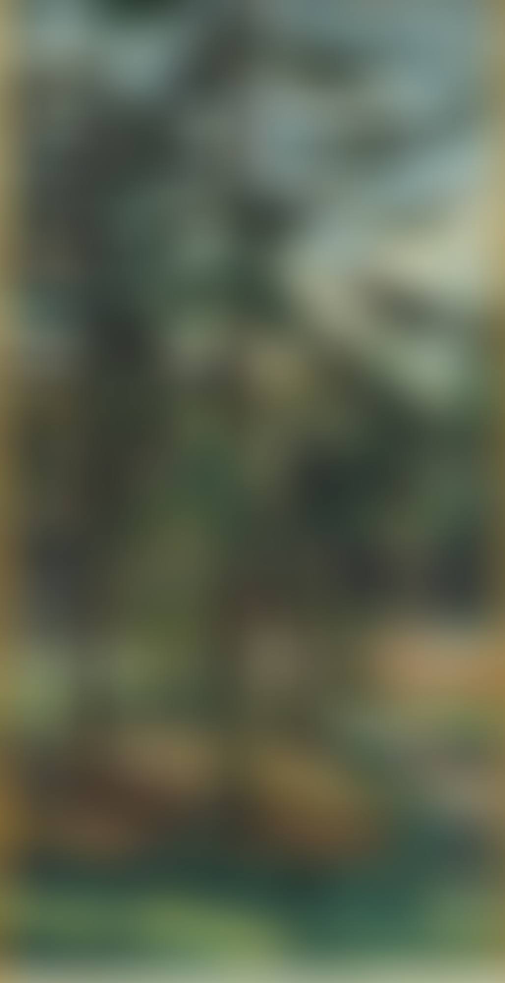 Forest (preview)