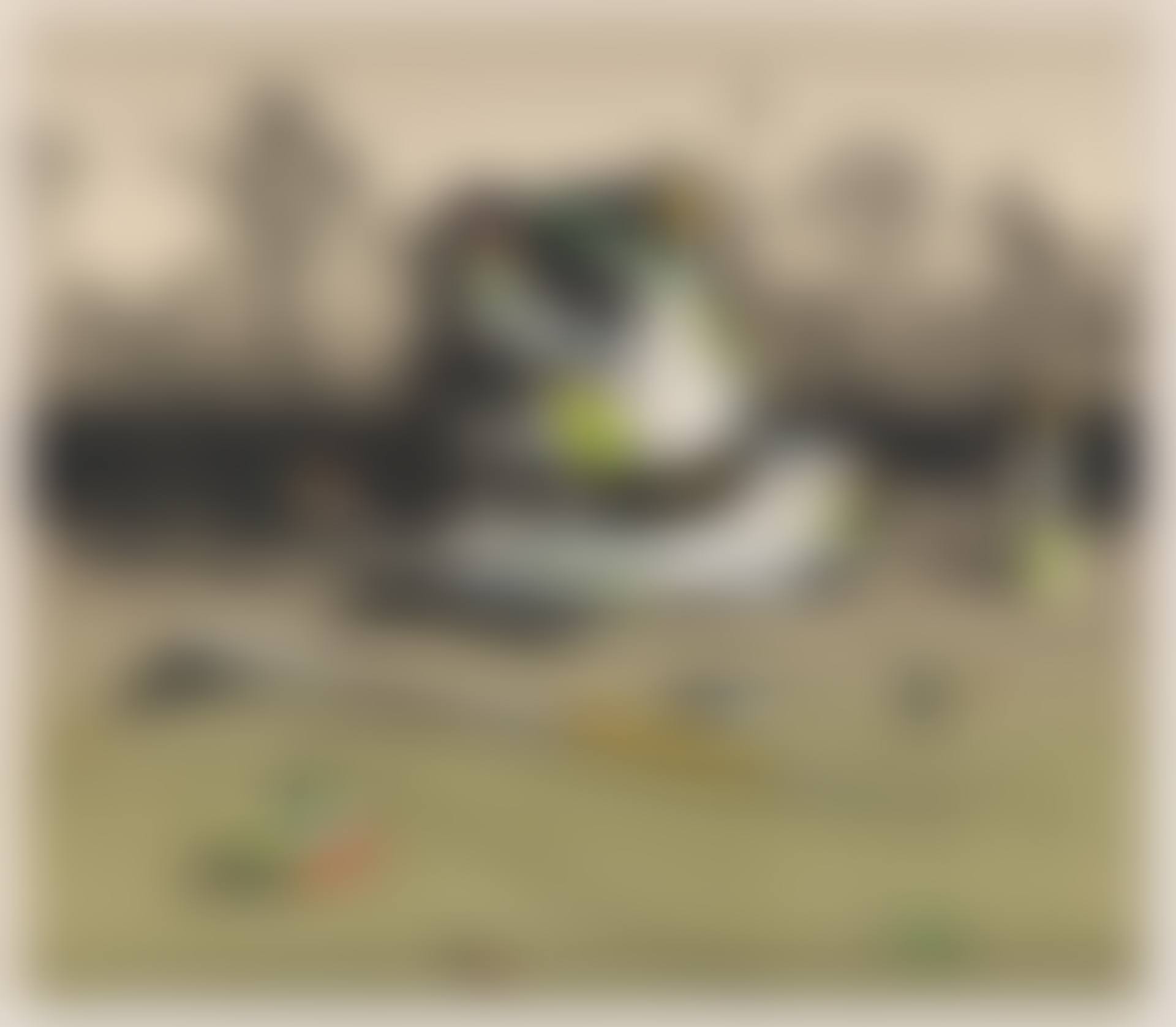 Sügisene vaikelu II (preview)