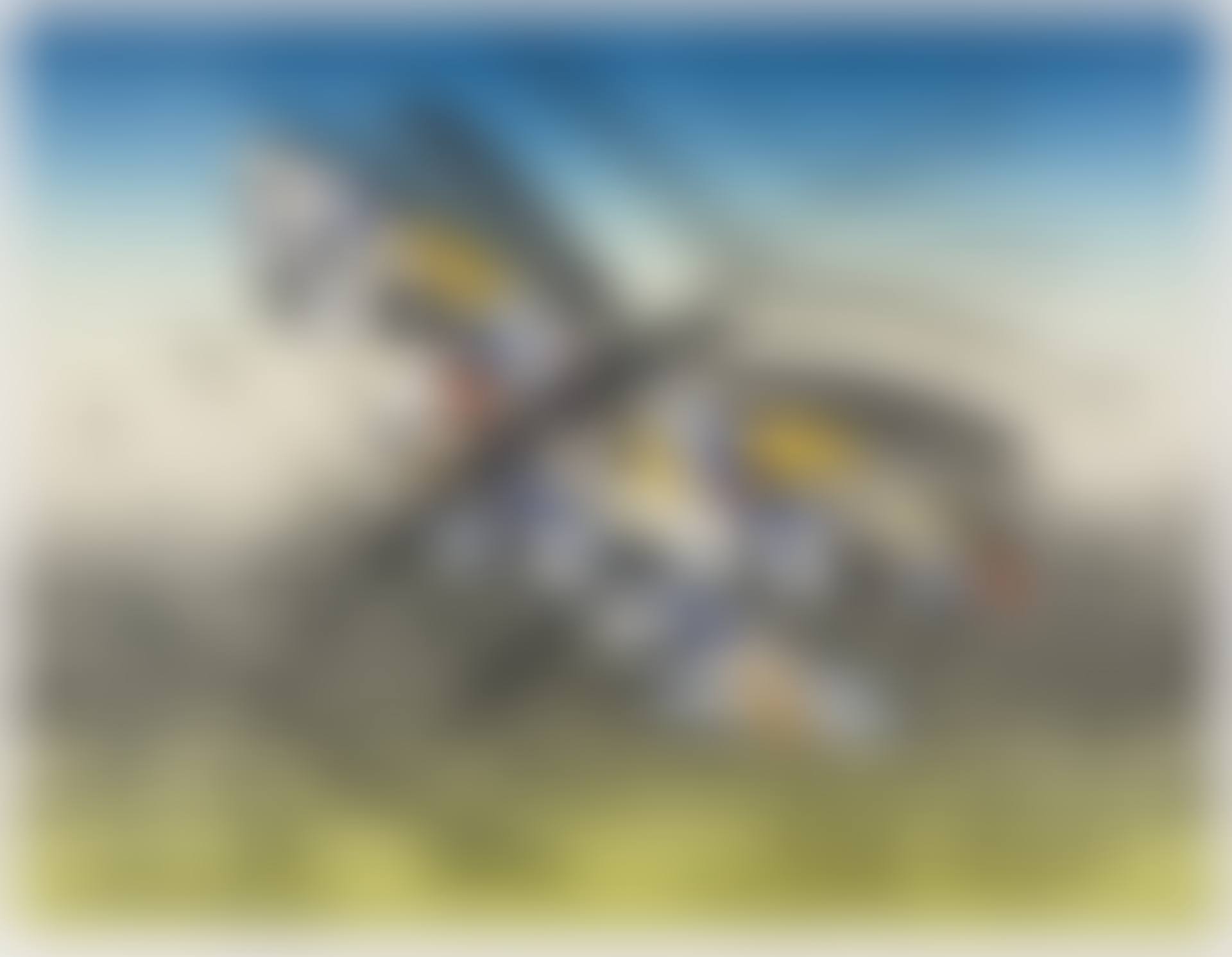 Suvipäev (preview)