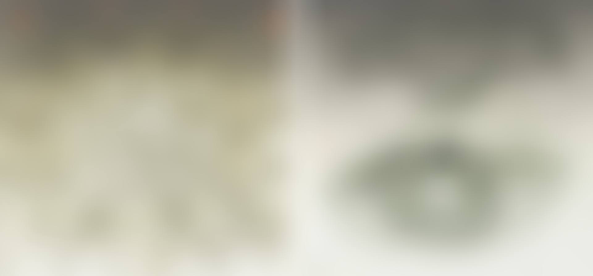 Tamm ja sölg (preview)
