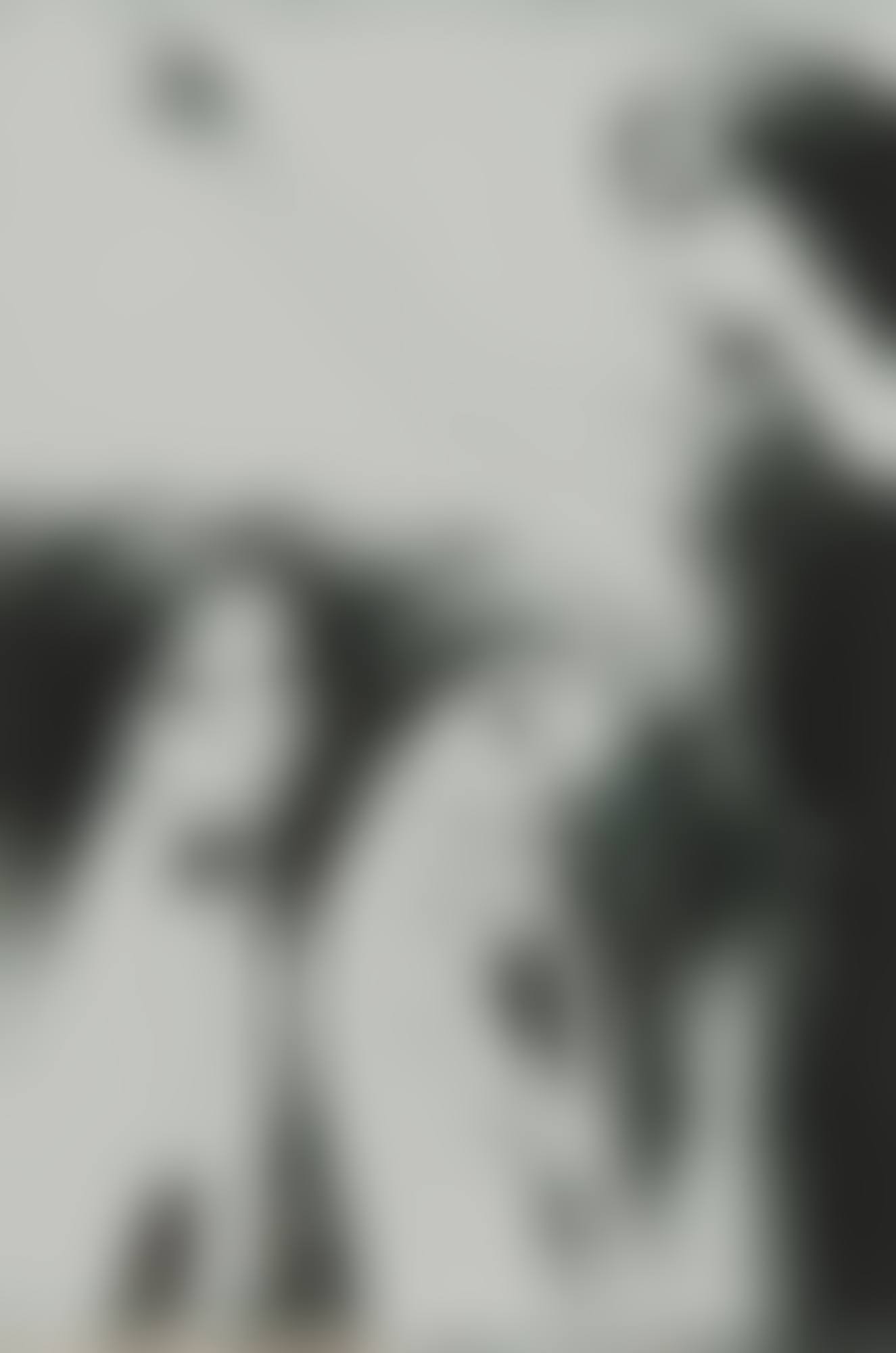 Hommik (preview)
