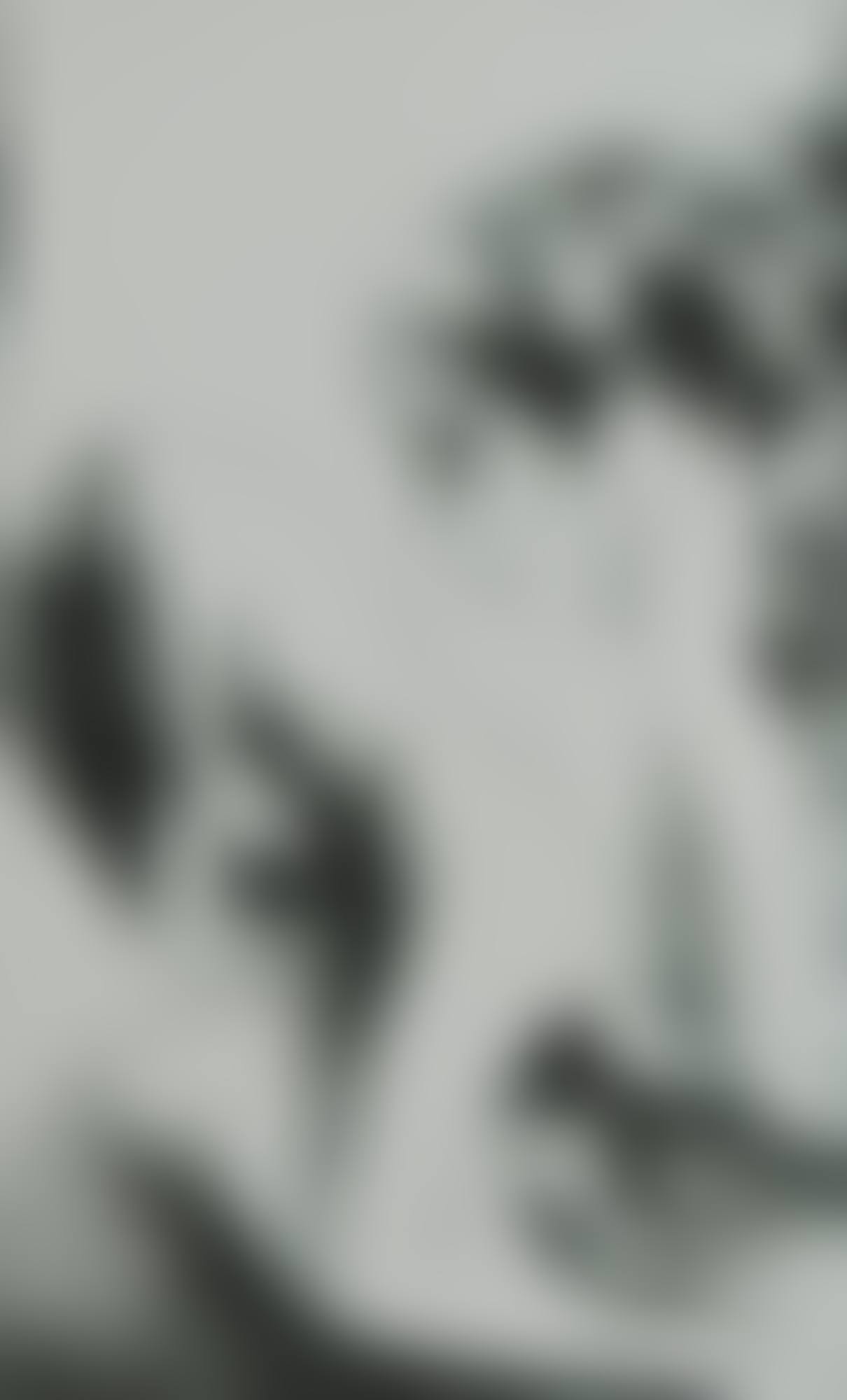 Kevad (preview)