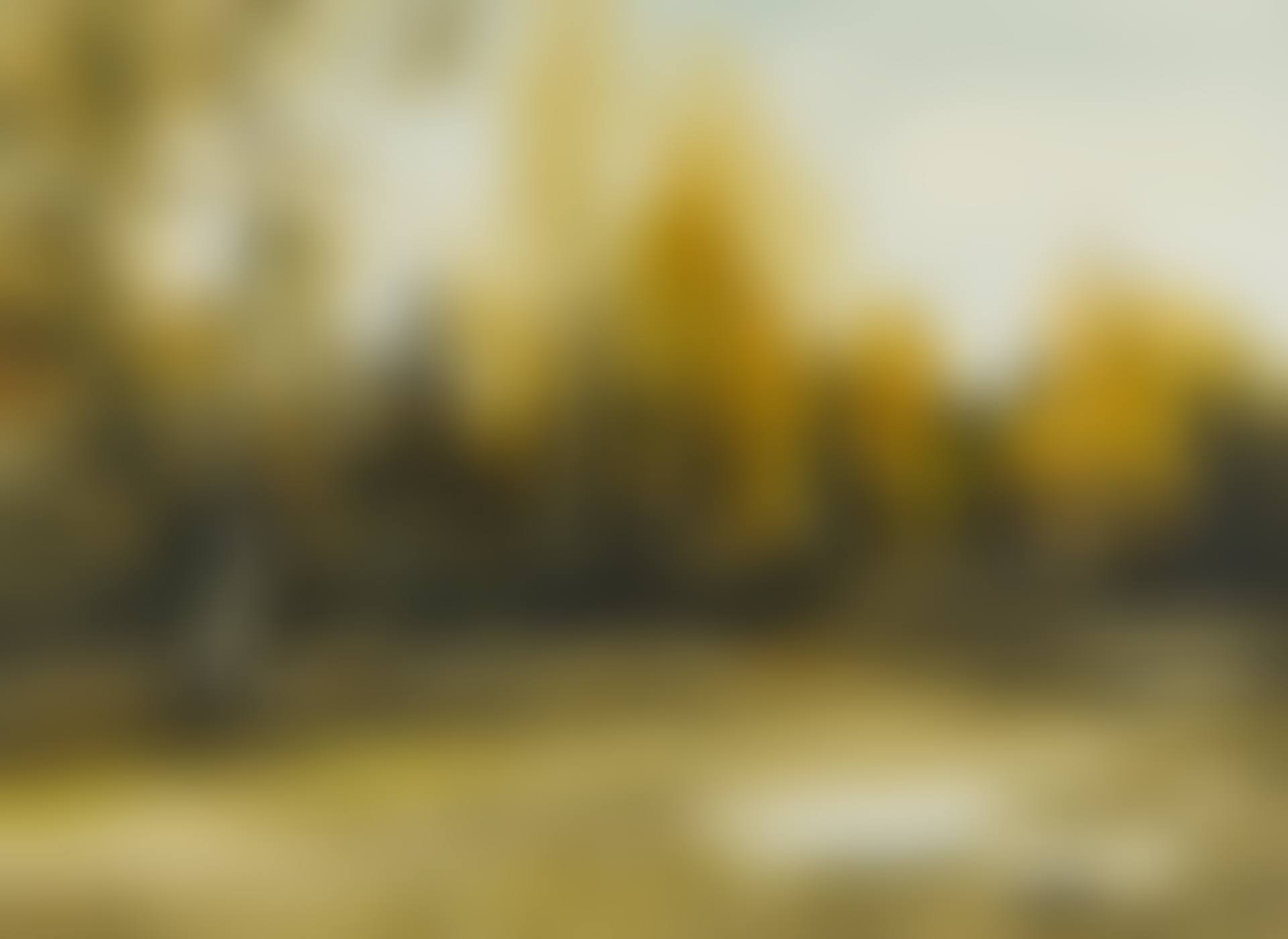 Landscape (preview)