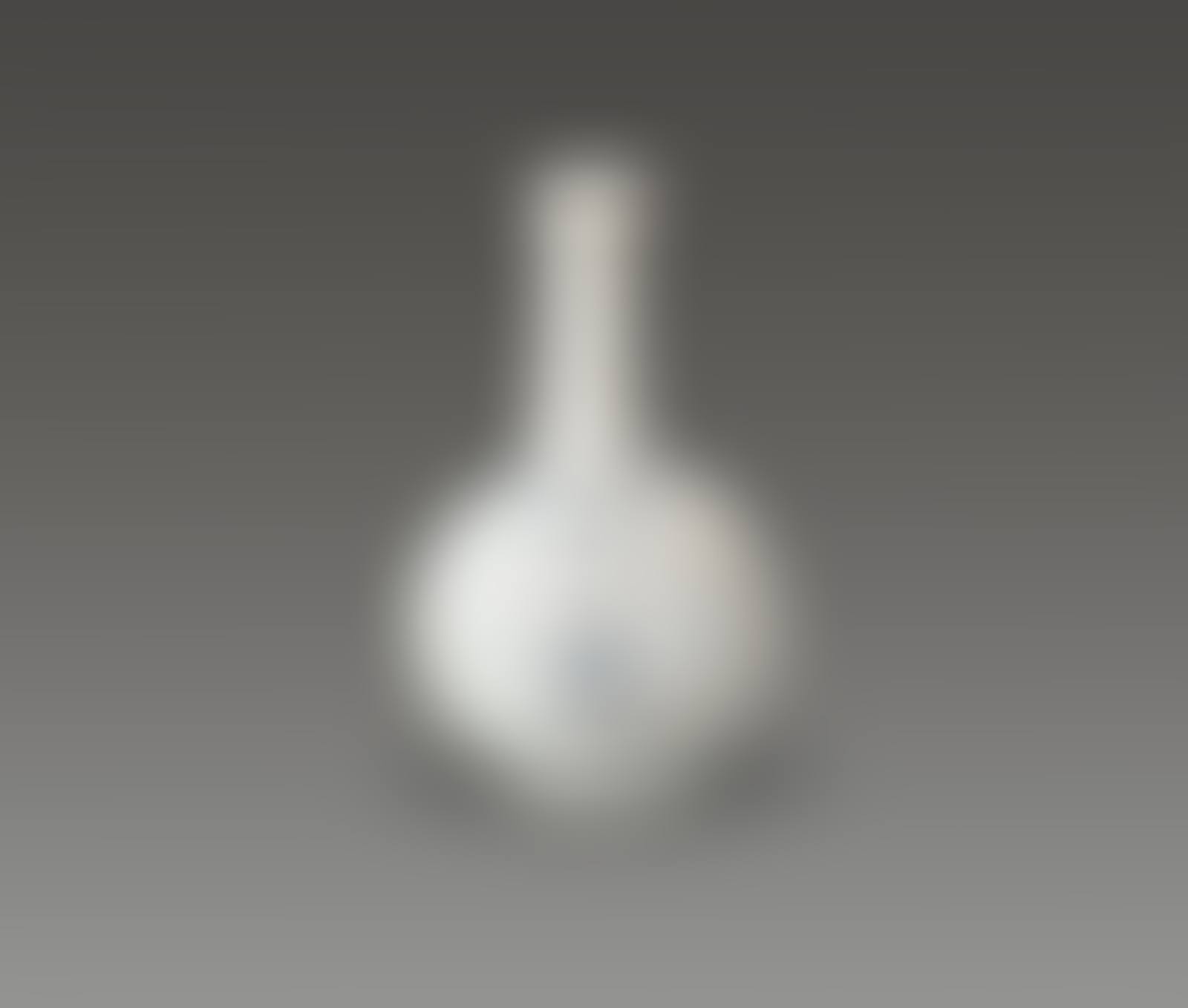 Blue & White Porcelain Bottle (preview)