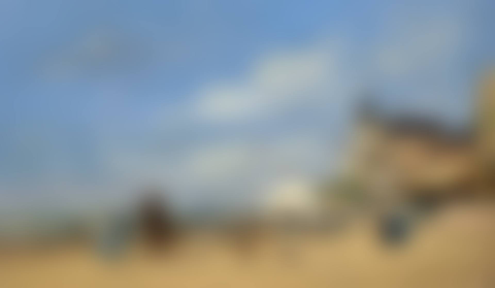La plage de Trouville (preview)