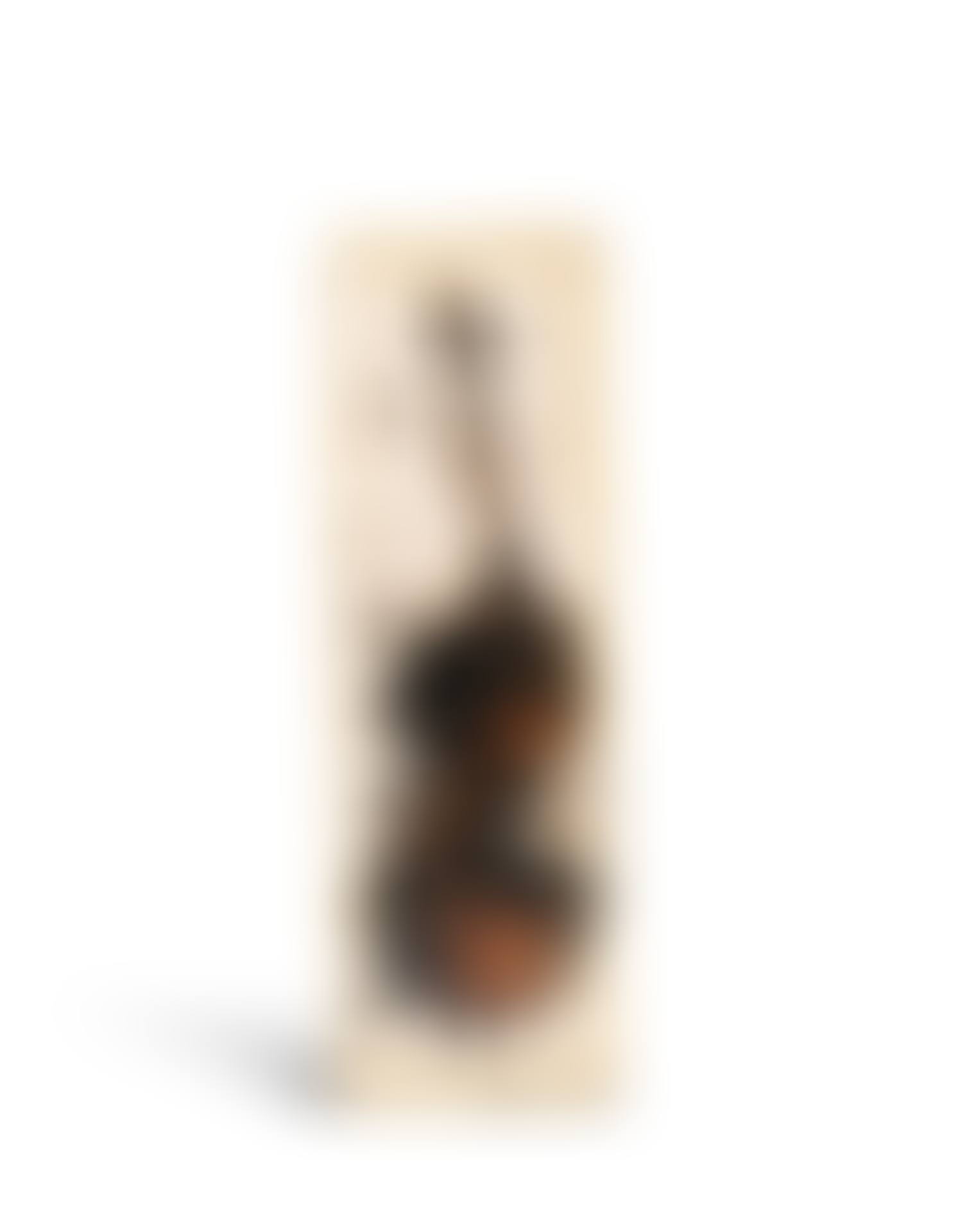 The Cremation of Paganini (preview)
