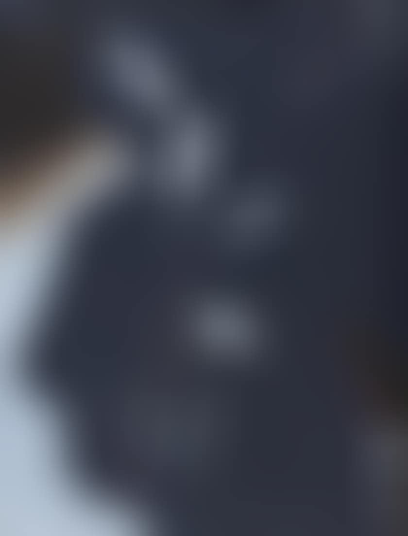 WES I (preview)