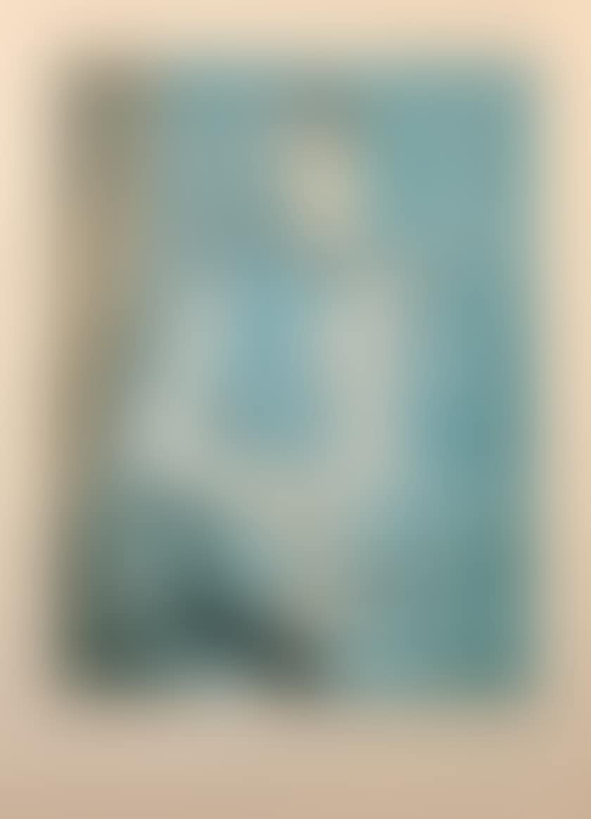 Harlequin (Barcelona Series) (preview)