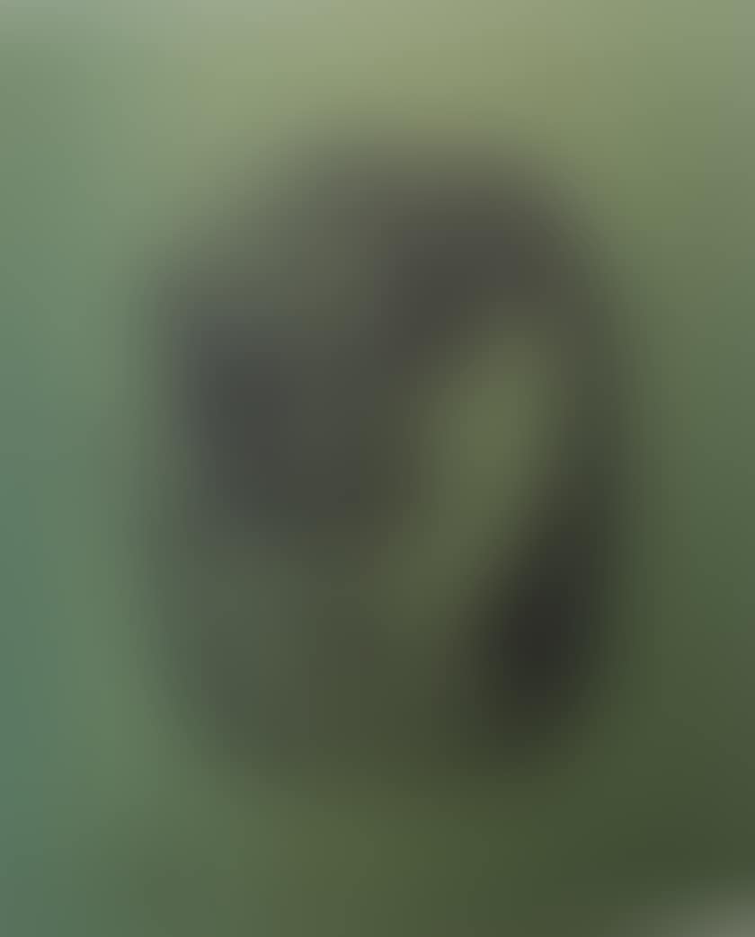 Quick (preview)
