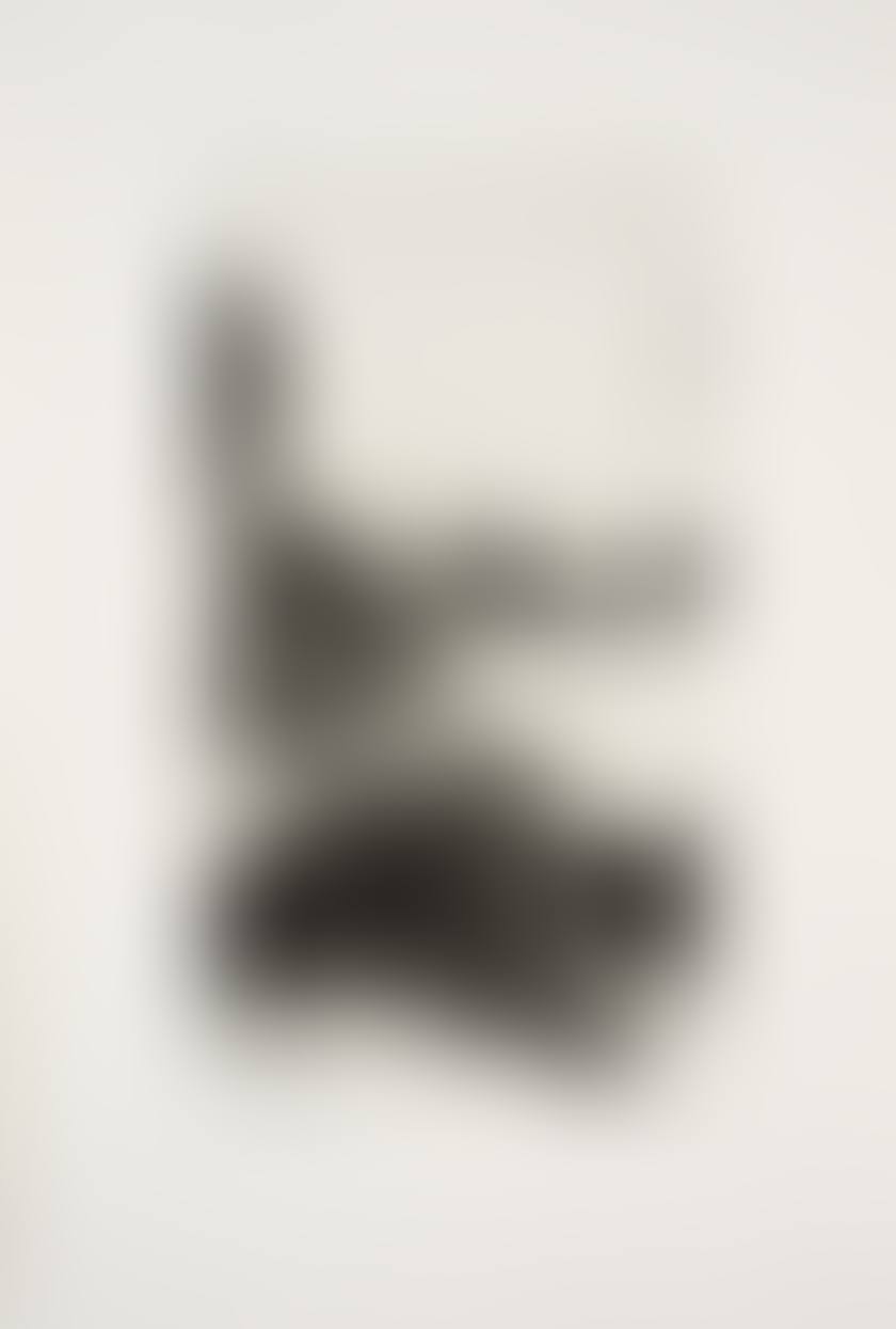 306 (preview)