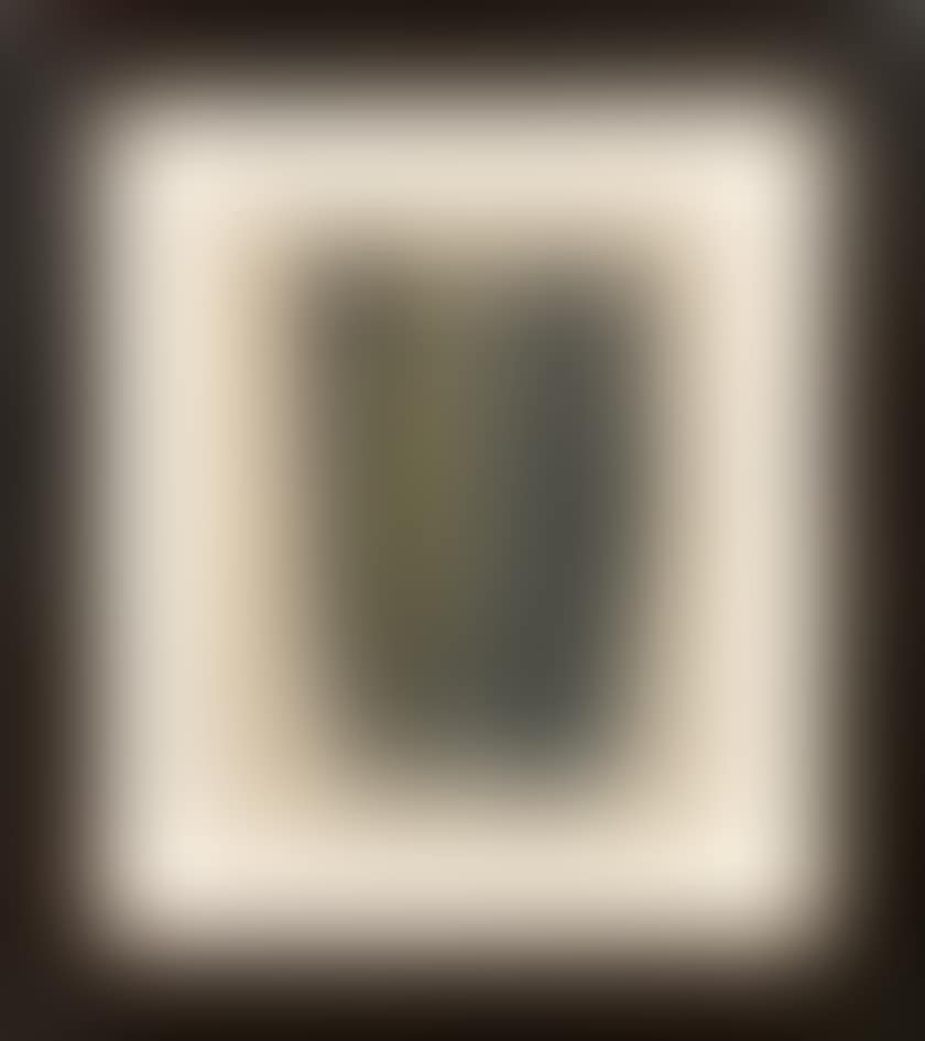 P1959-165 (preview)