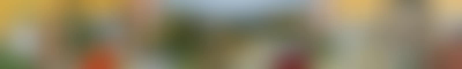 TABLE TOP STILL LIFE (preview)