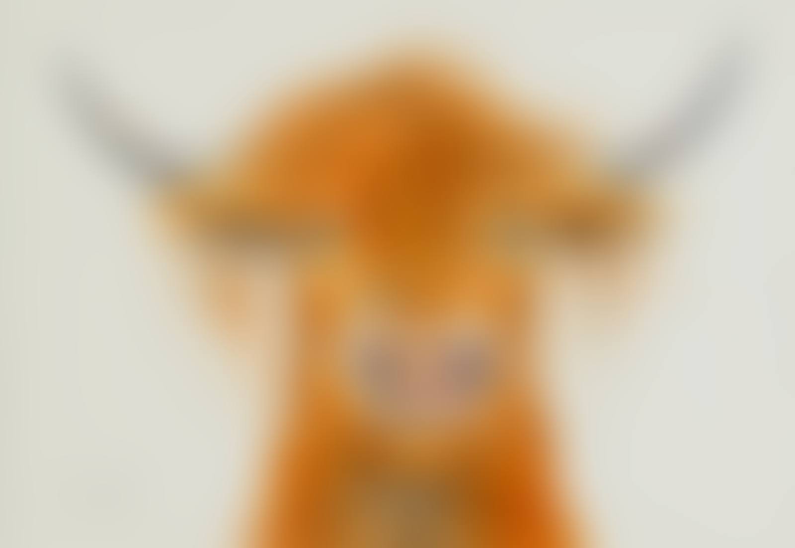 HORATIO (preview)