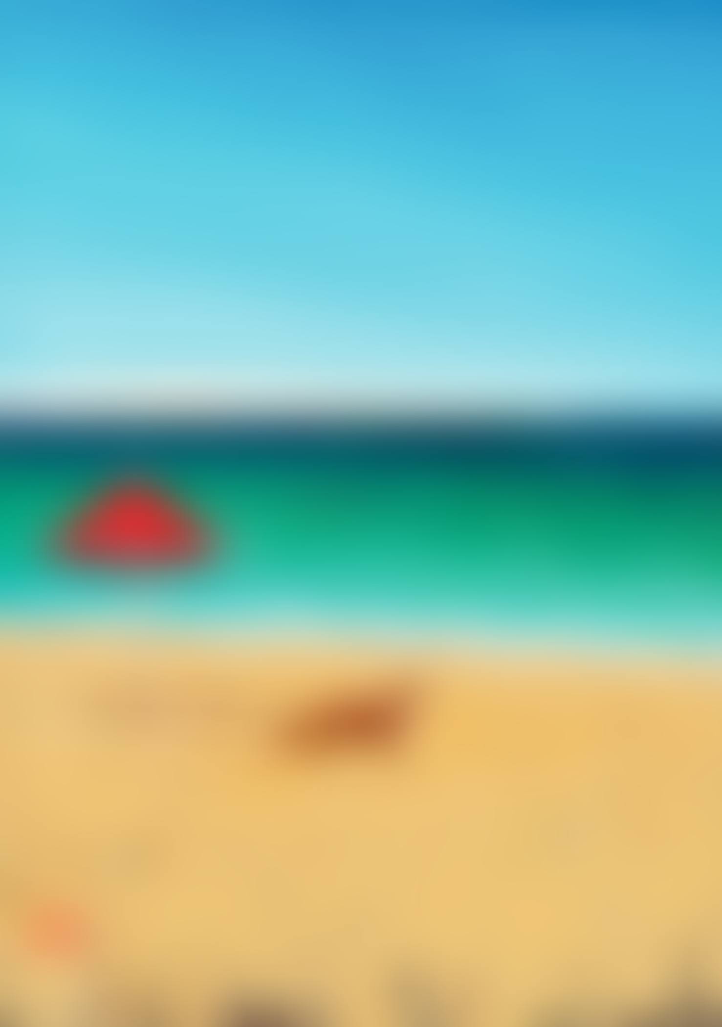 FOX ON THE BEACH (preview)