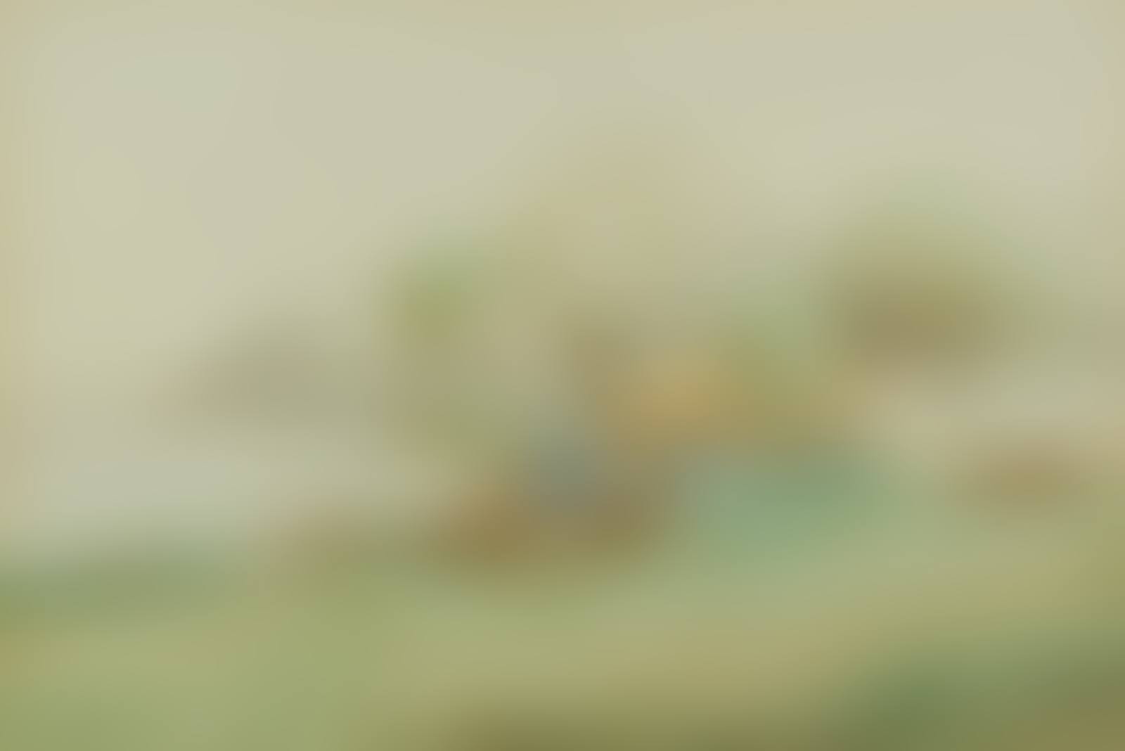 COASTAL COTTAGE (preview)