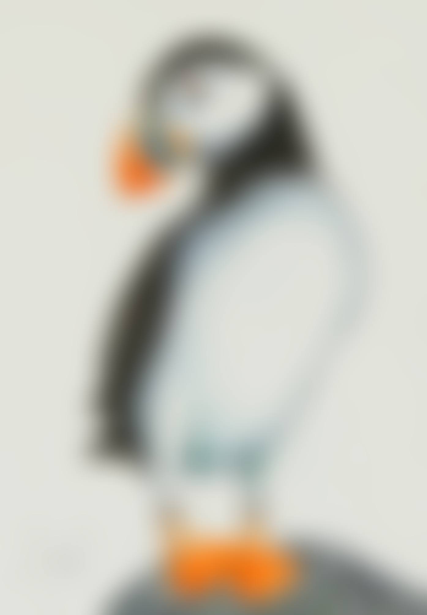 PERCHED PUFFIN (preview)