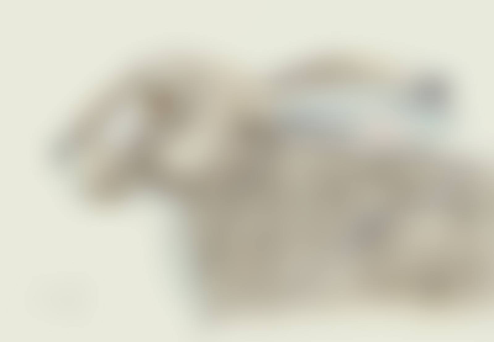 BRIGHT EYES (preview)