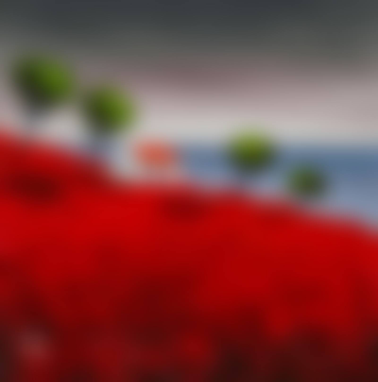 GREEN TREES (preview)