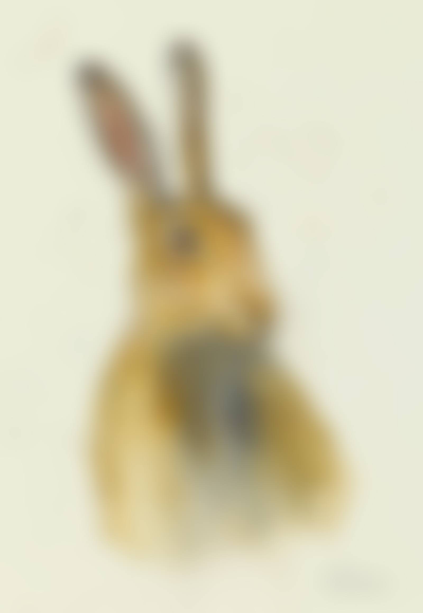 HARE (preview)