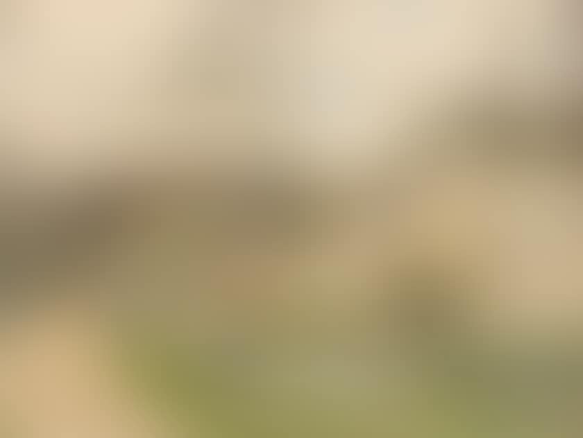 Landscape (preview)