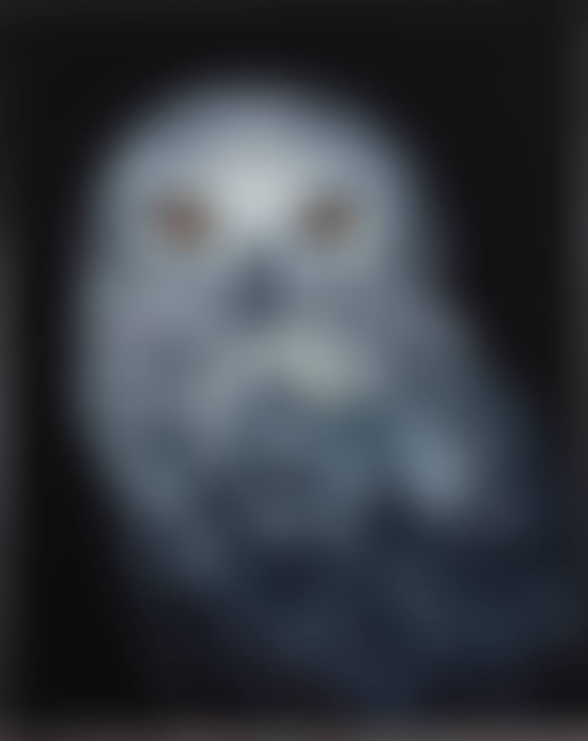 Eyes of the night (preview)