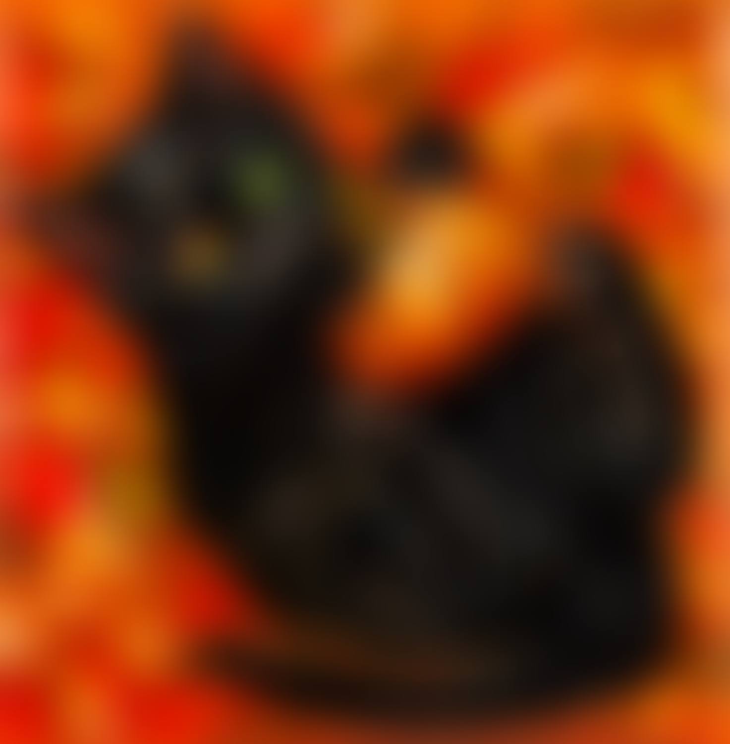 Pumpcat (preview)